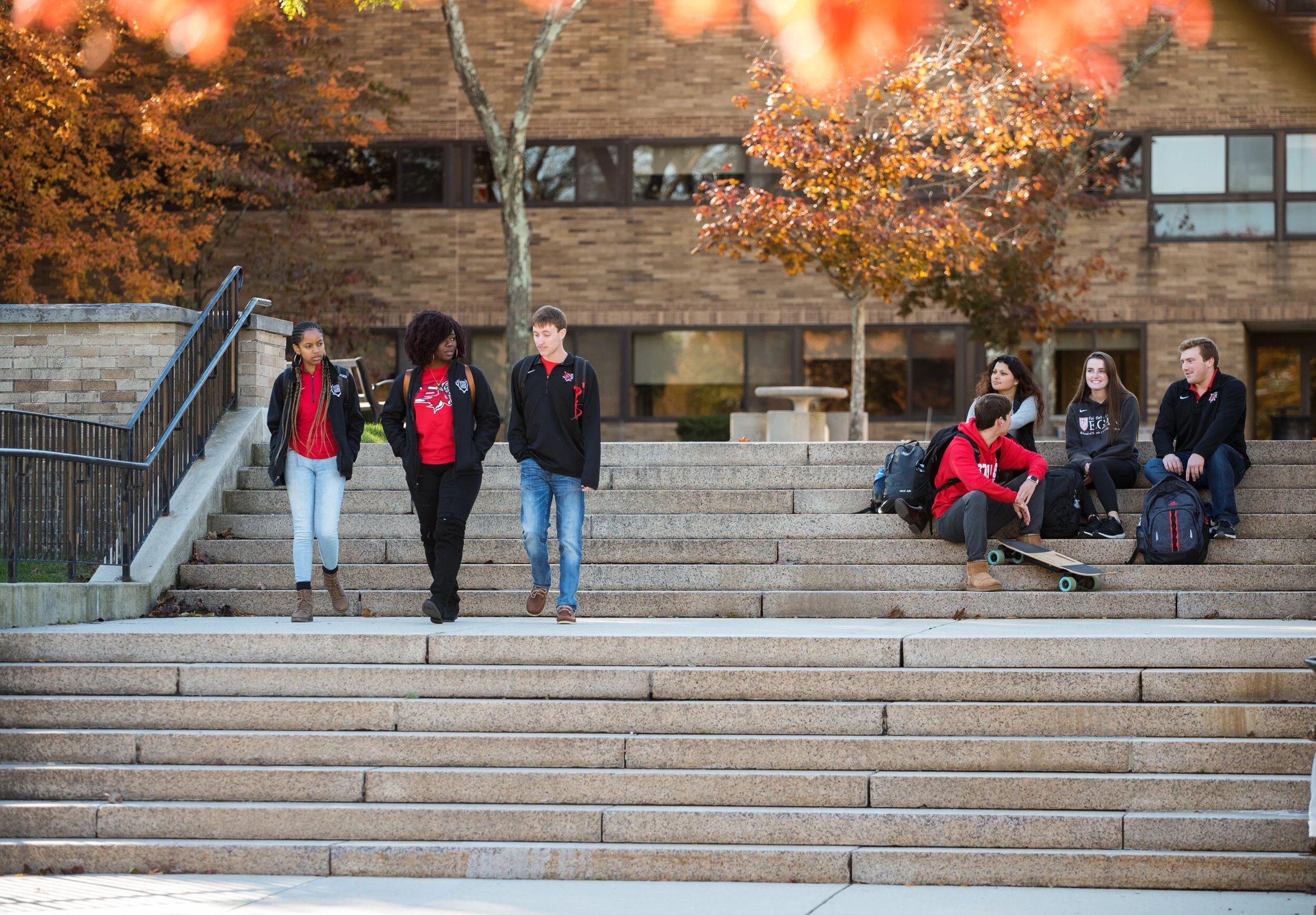 Education Experience Fairfield Ct