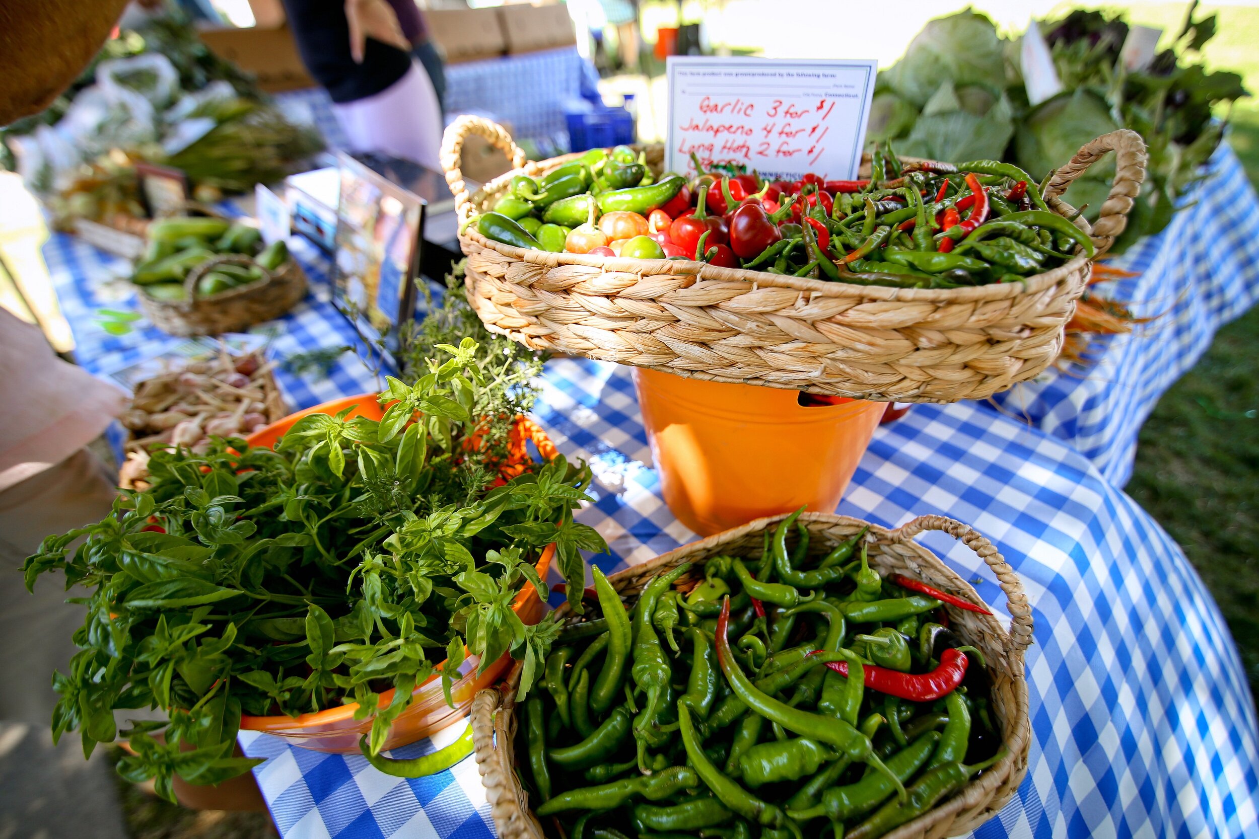 EF_Farmers_Market_Veggies.jpg