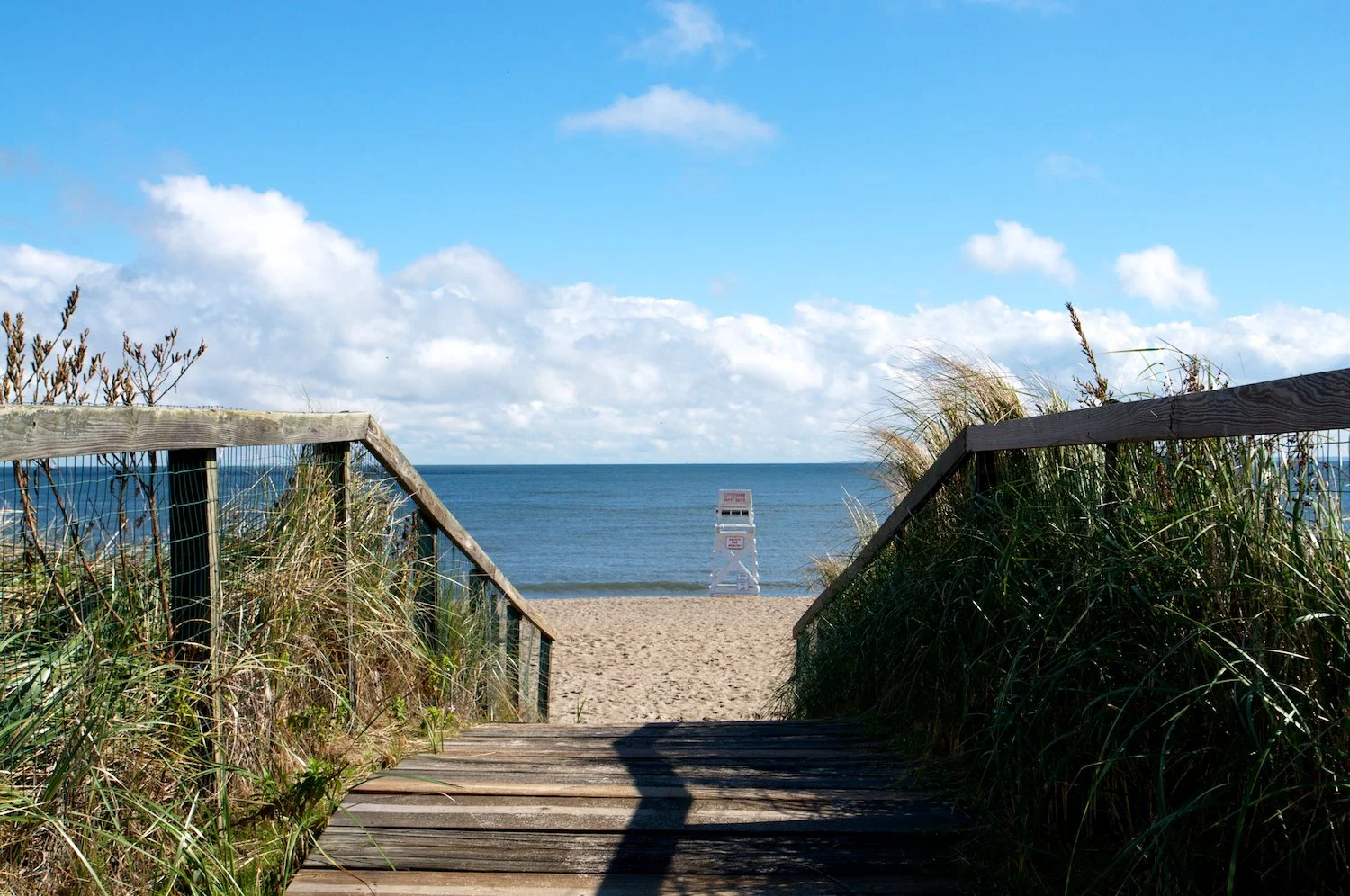 EF_Jennings_Beach_3.jpg