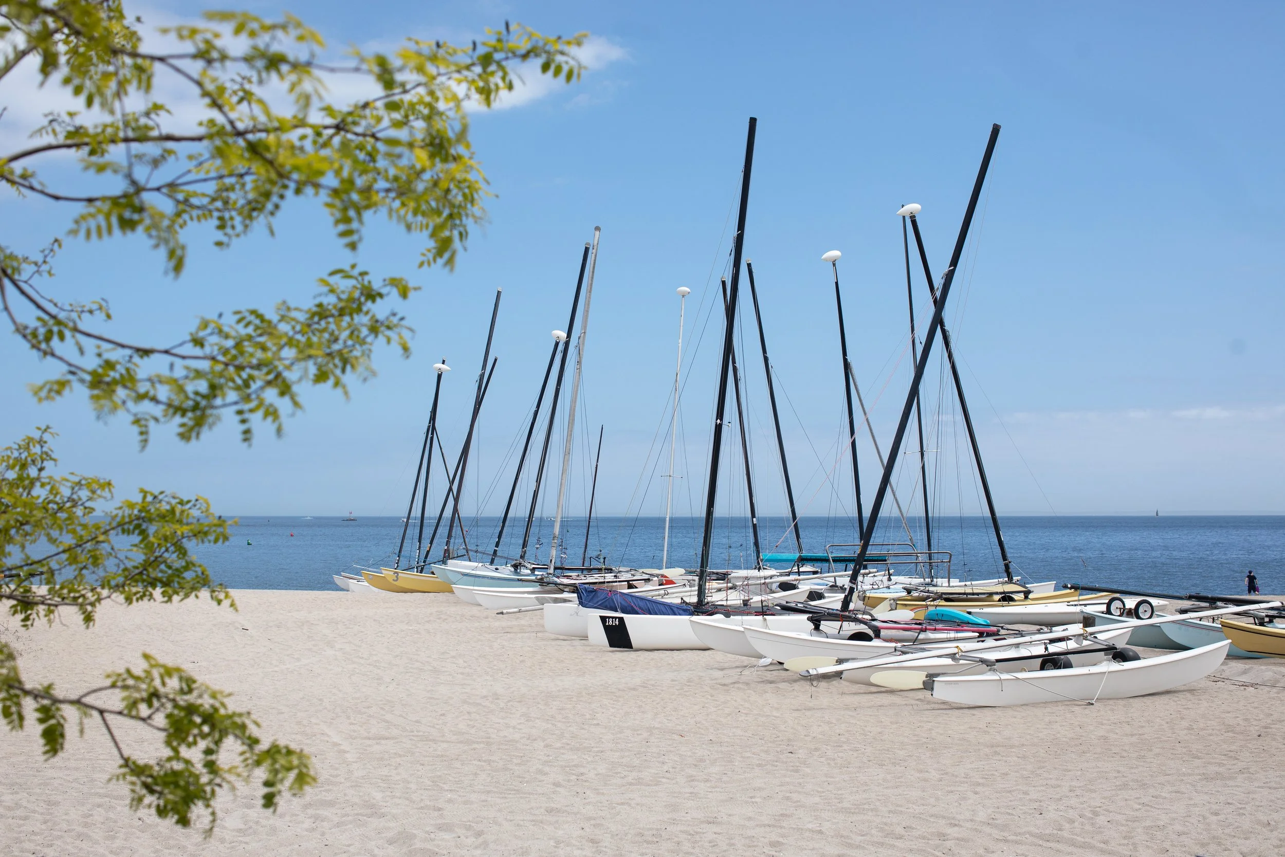 EF_Jennings_Beach_1S3A7194.jpg