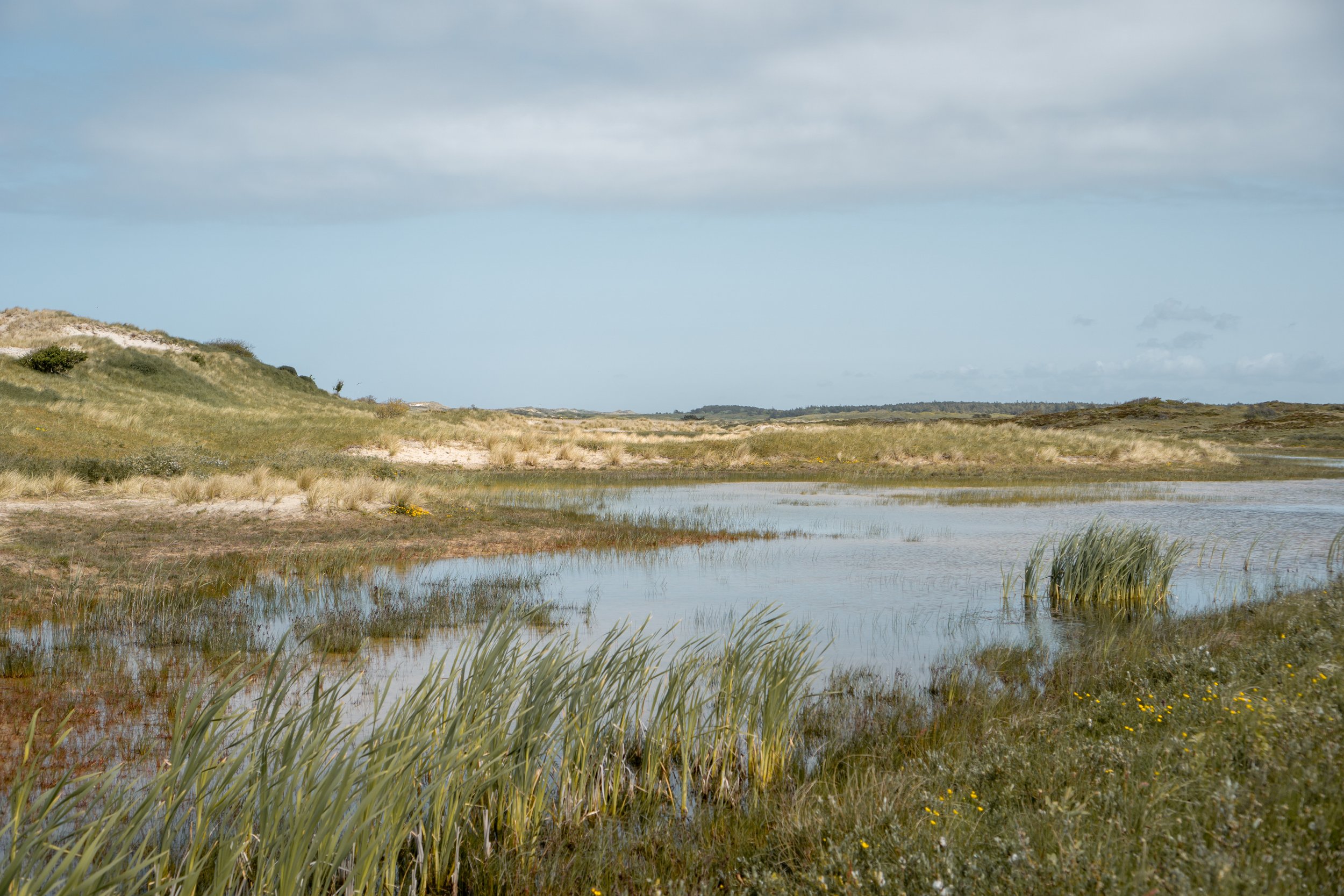 Terschelling_2023_11.jpg