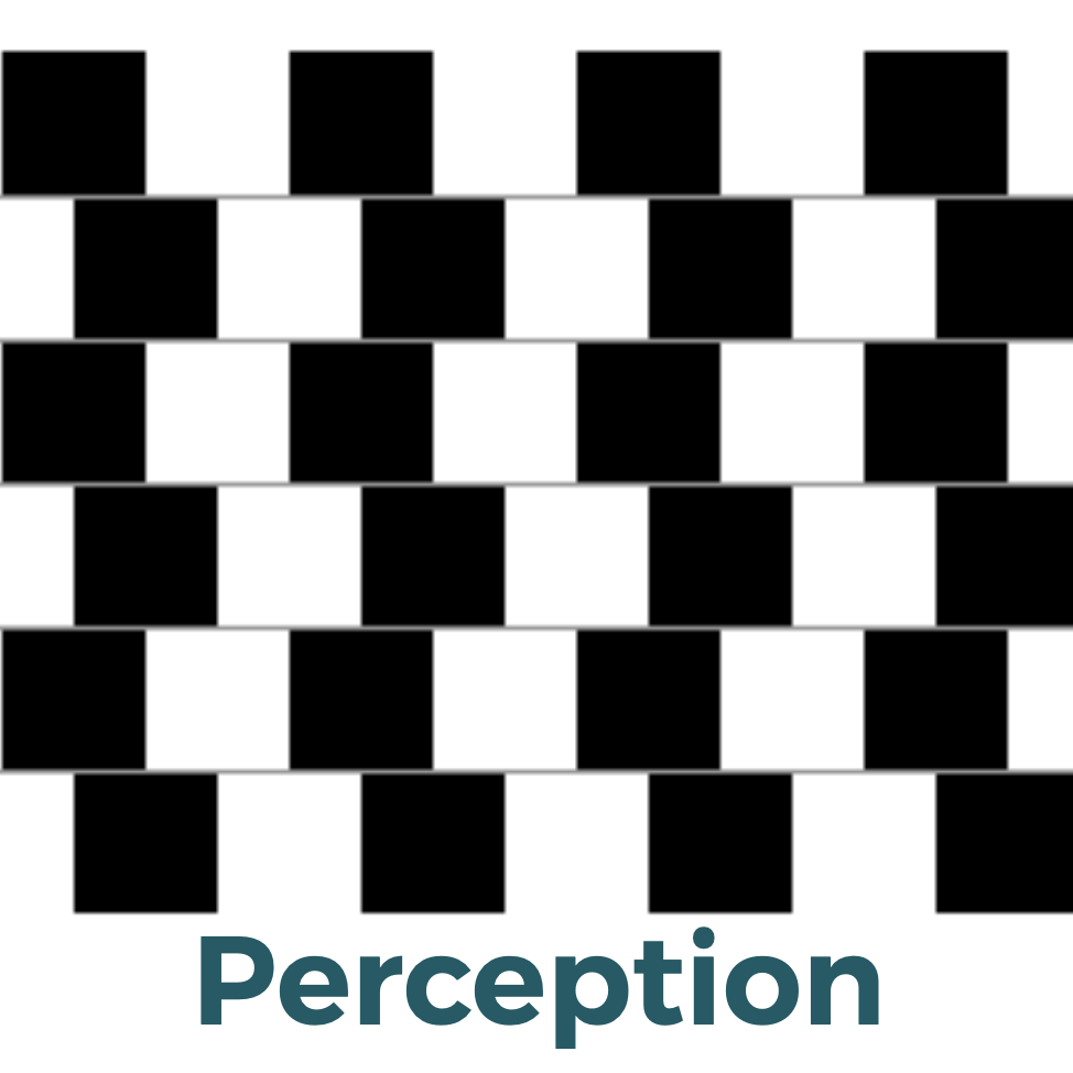Module 2: The Basics of Perception