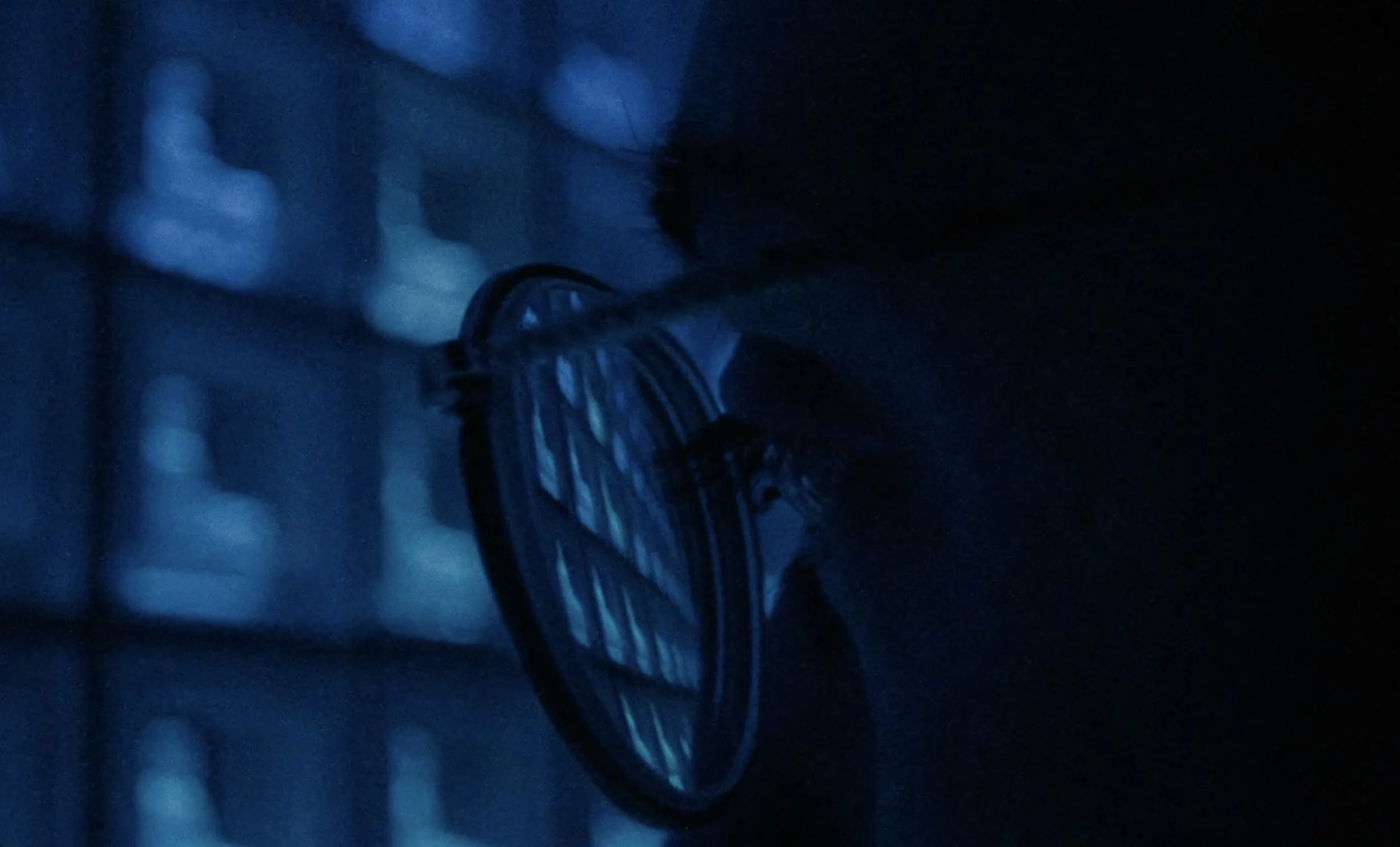 Screenshot 2025-03-10 at 11.24.27 PM.jpg