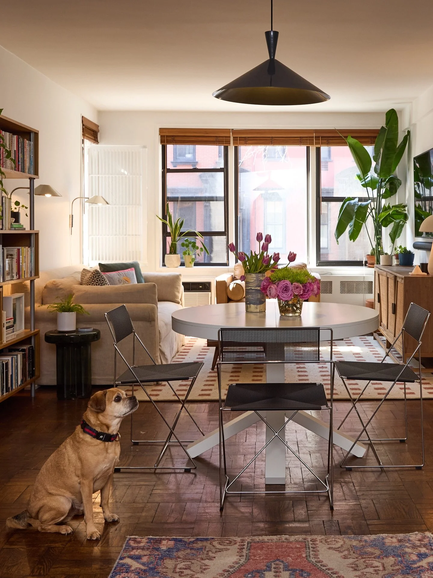 Did you know it&rsquo;s NATIONAL ADOPT a PET day?!

Neither did I until I was searching for an opportunity to show off some of our recently shot design projects.

Every home we touch is designed for the people who live there, but we know the real cli