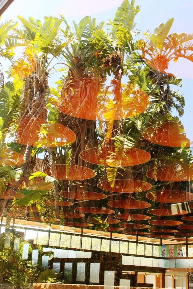 Baxter foyer reflection 2.JPG