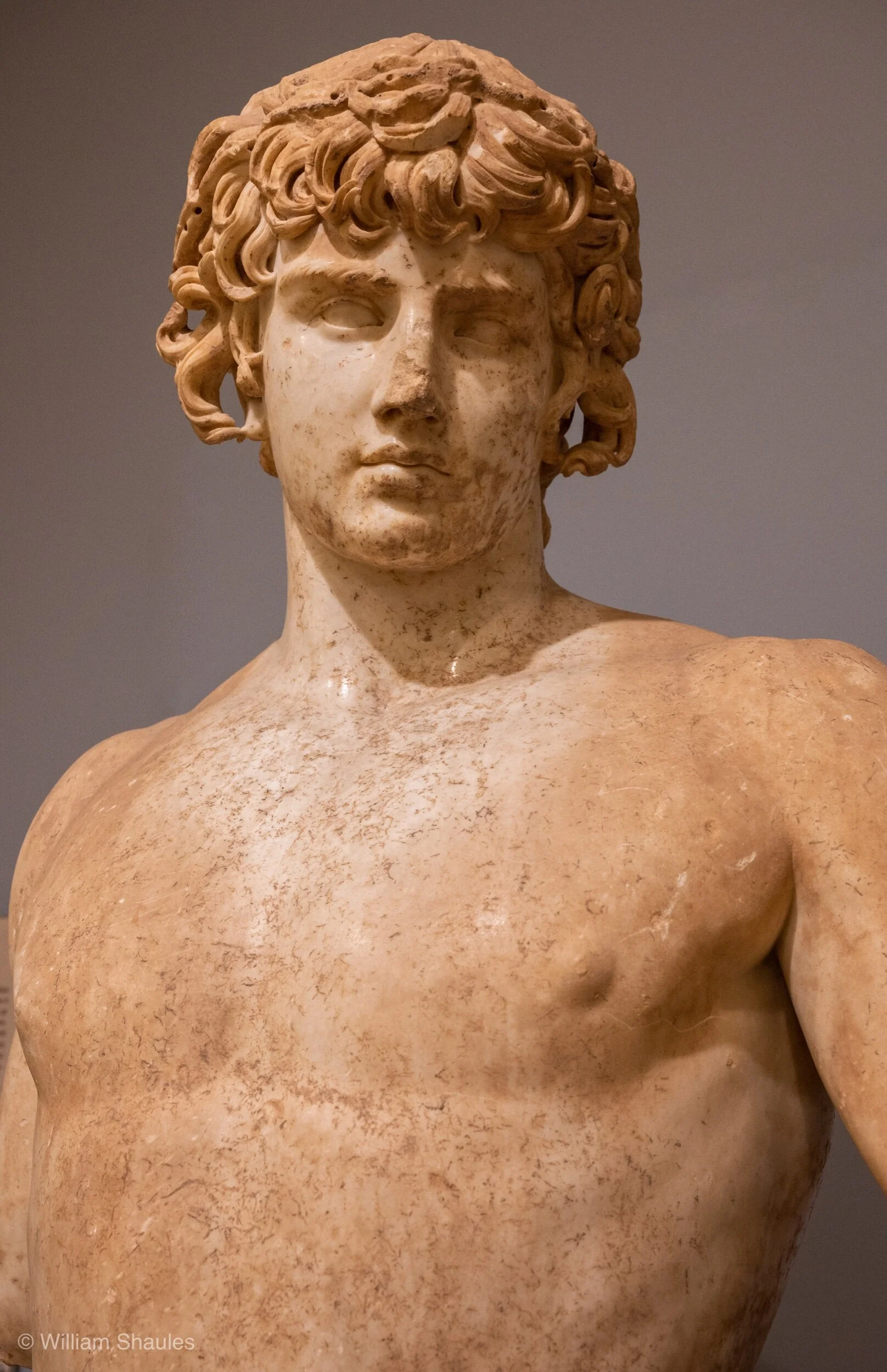 Antinous.jpeg
