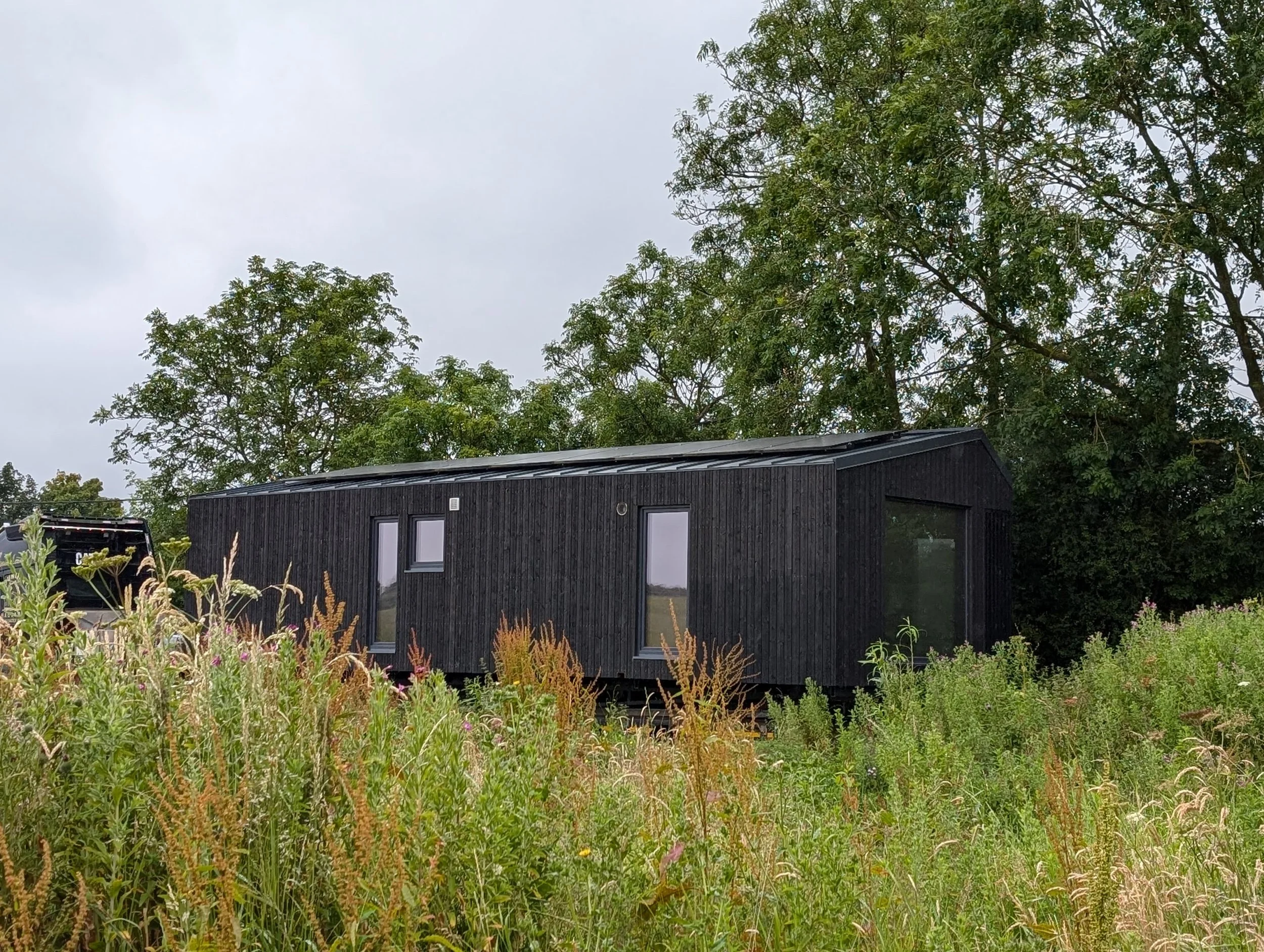 Black modern tiny house with large windows, surrounded by overgrown grass and trees under an overcast sky.