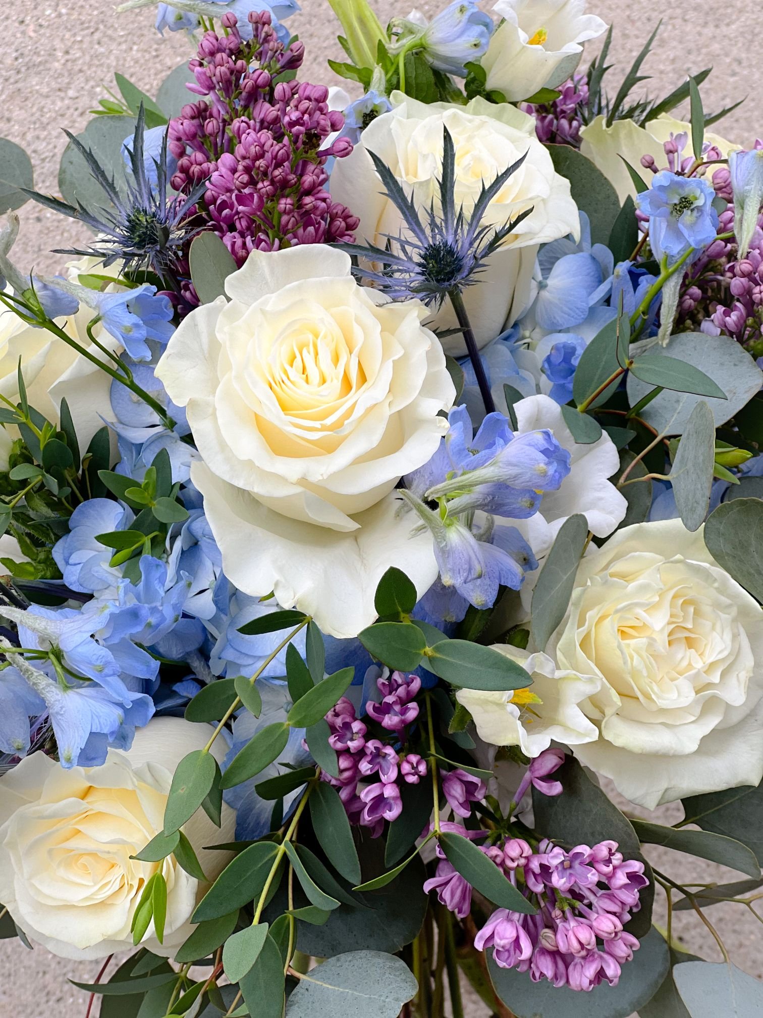 Blue white lilac closeup.jpg