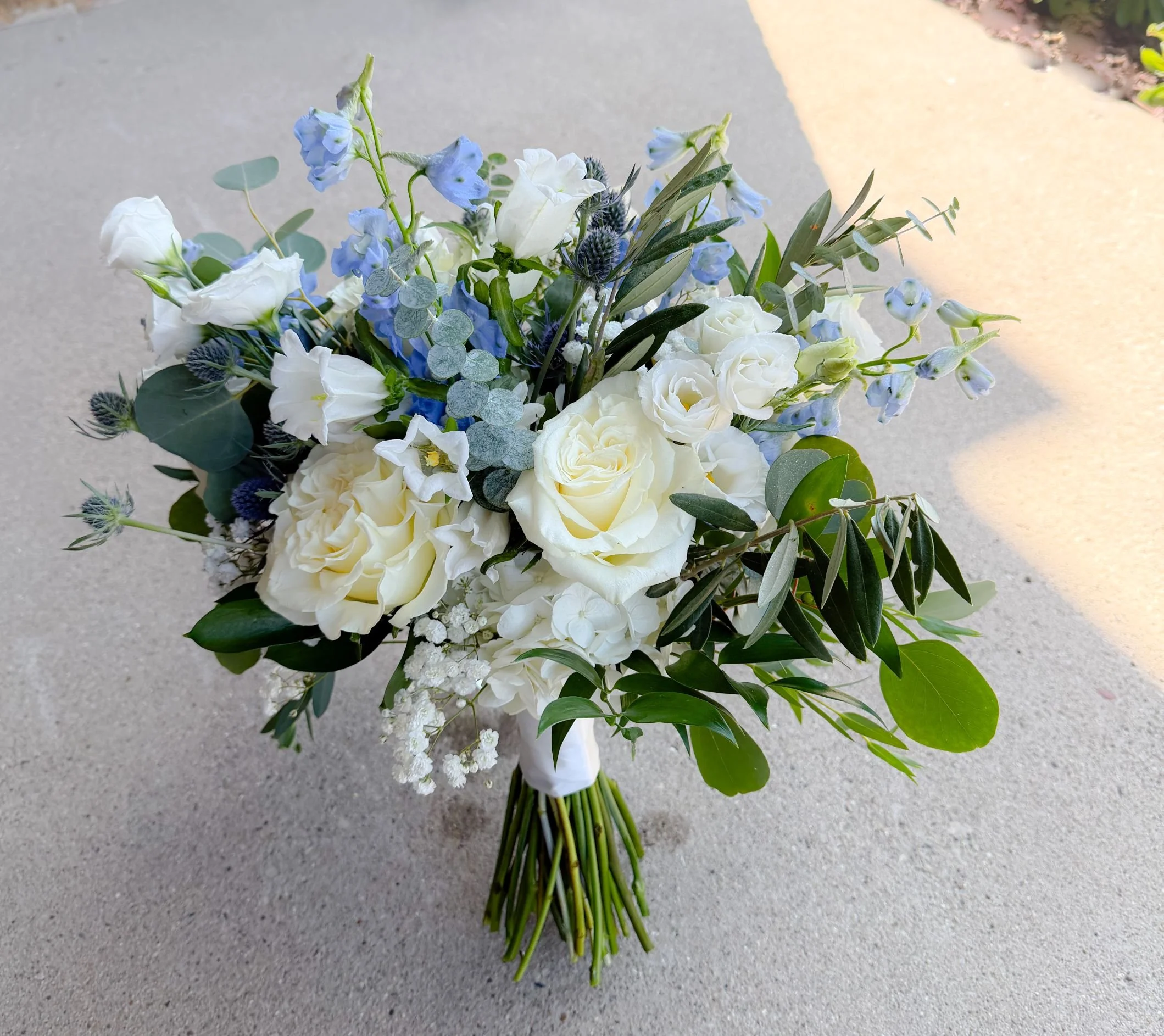 Delphinium lisi aspen bridal .jpg