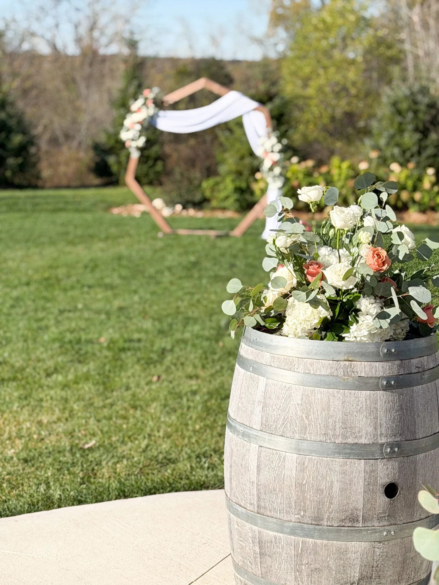Aspen Sky Arch and Barrell.jpg