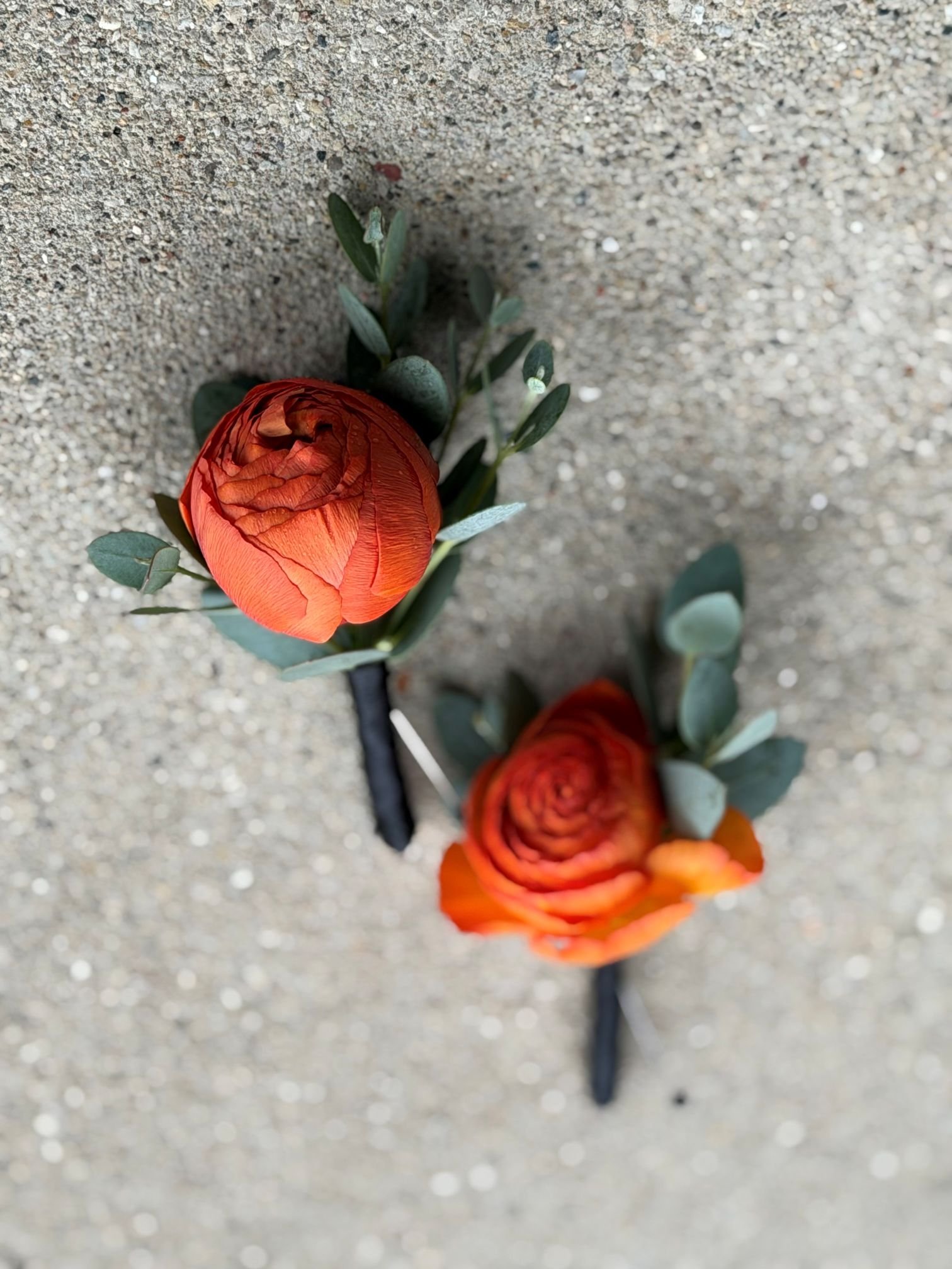 Orange ranunculus gunni bout.jpg