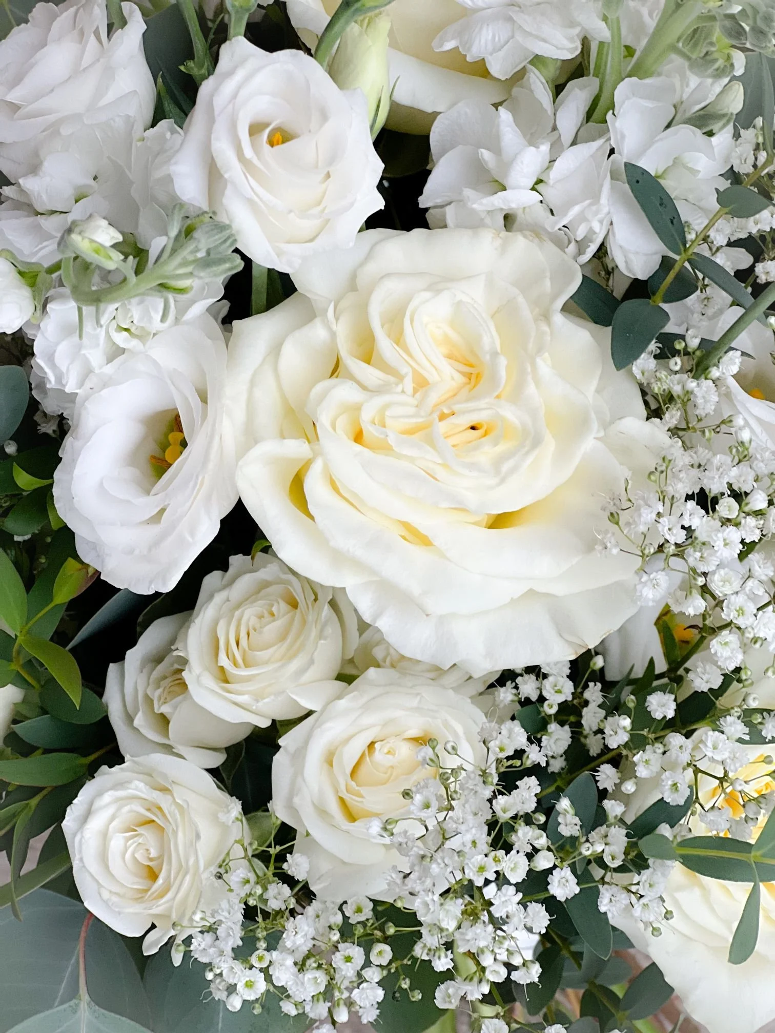 Aspen lisi stock gyp bridal.jpg