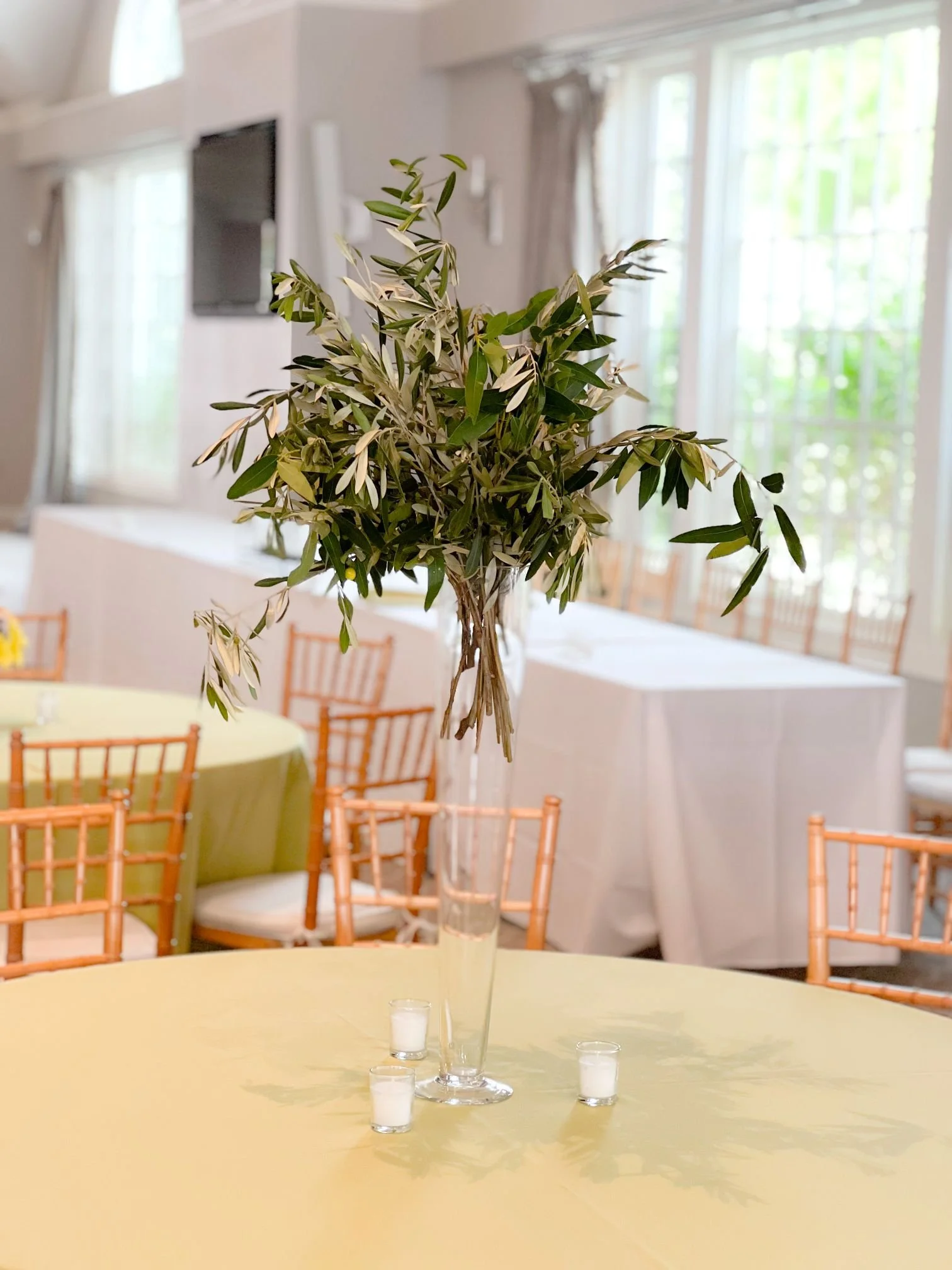 Trumpet trees at Shullys.jpg