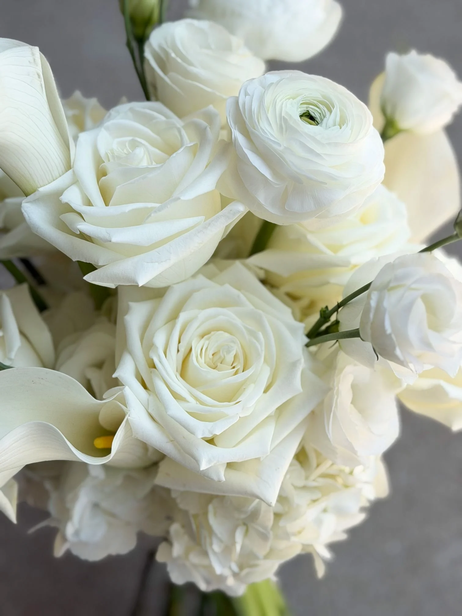 Whimsy white no greenery bridal.jpg