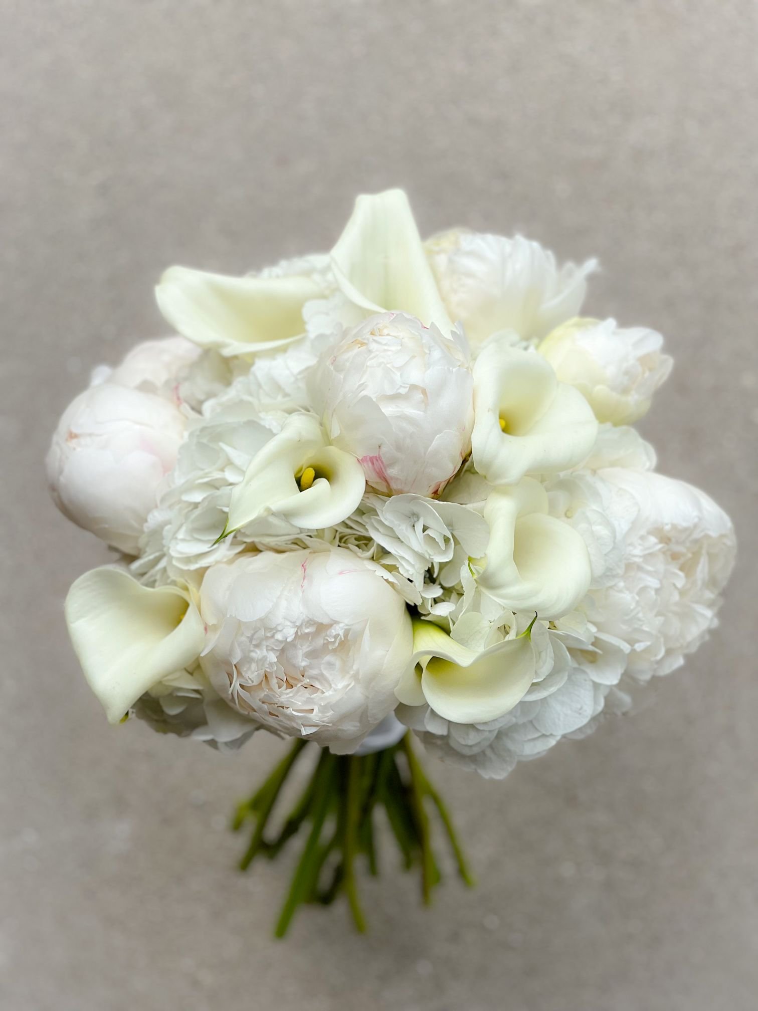 White hydrangea peony calla bridal.jpg