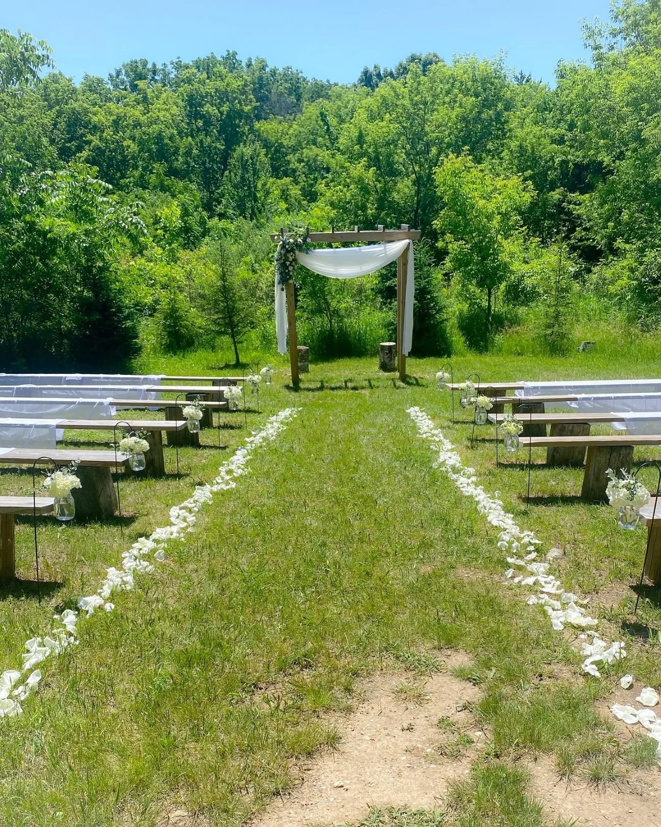 Aisle petals shepherd hooks arch.JPG