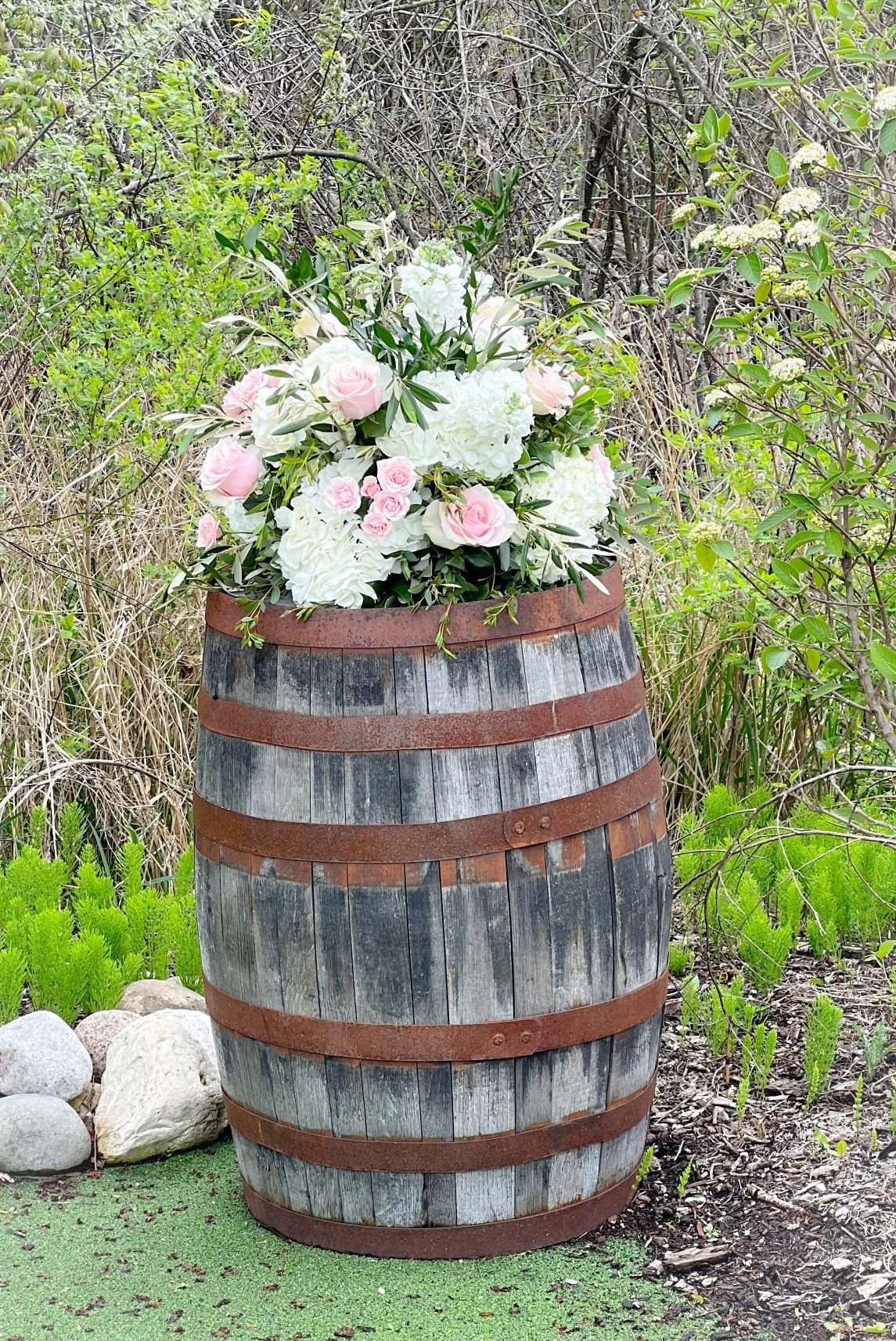 Whiskey barrel white blush.jpg