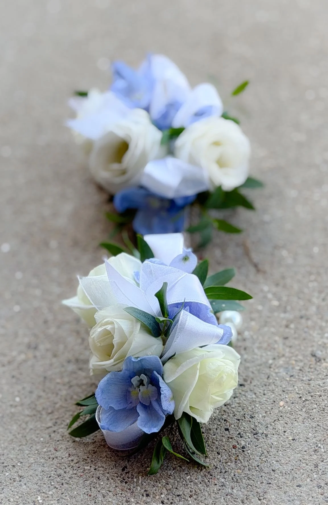 Delphinium lisi wrists.jpg