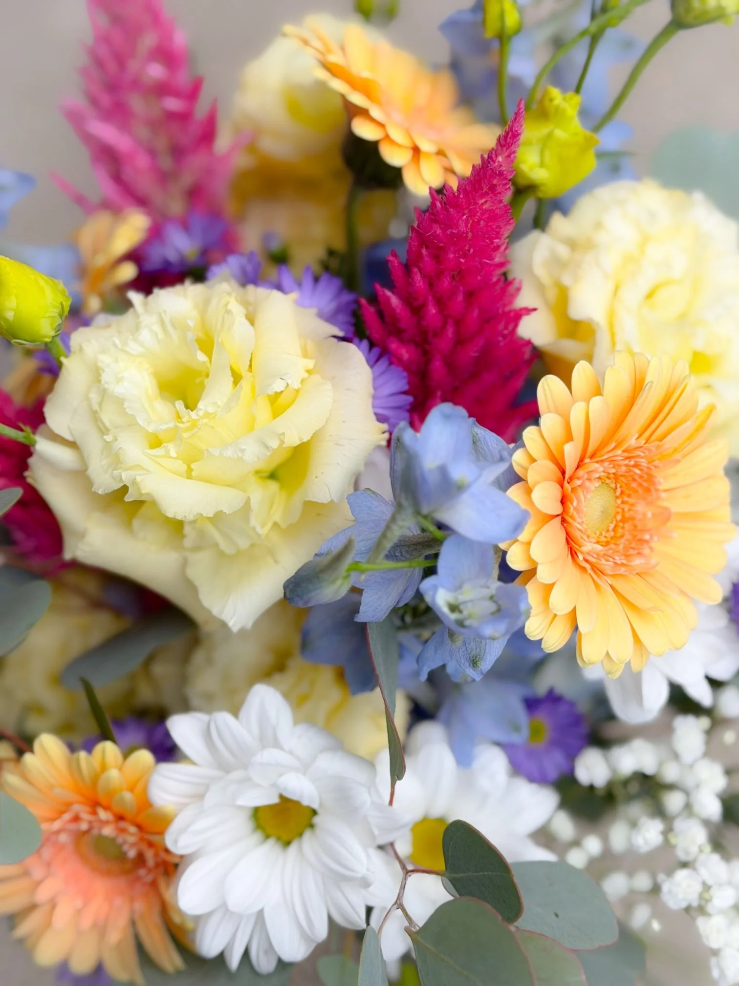 Wildflower bridal.jpg