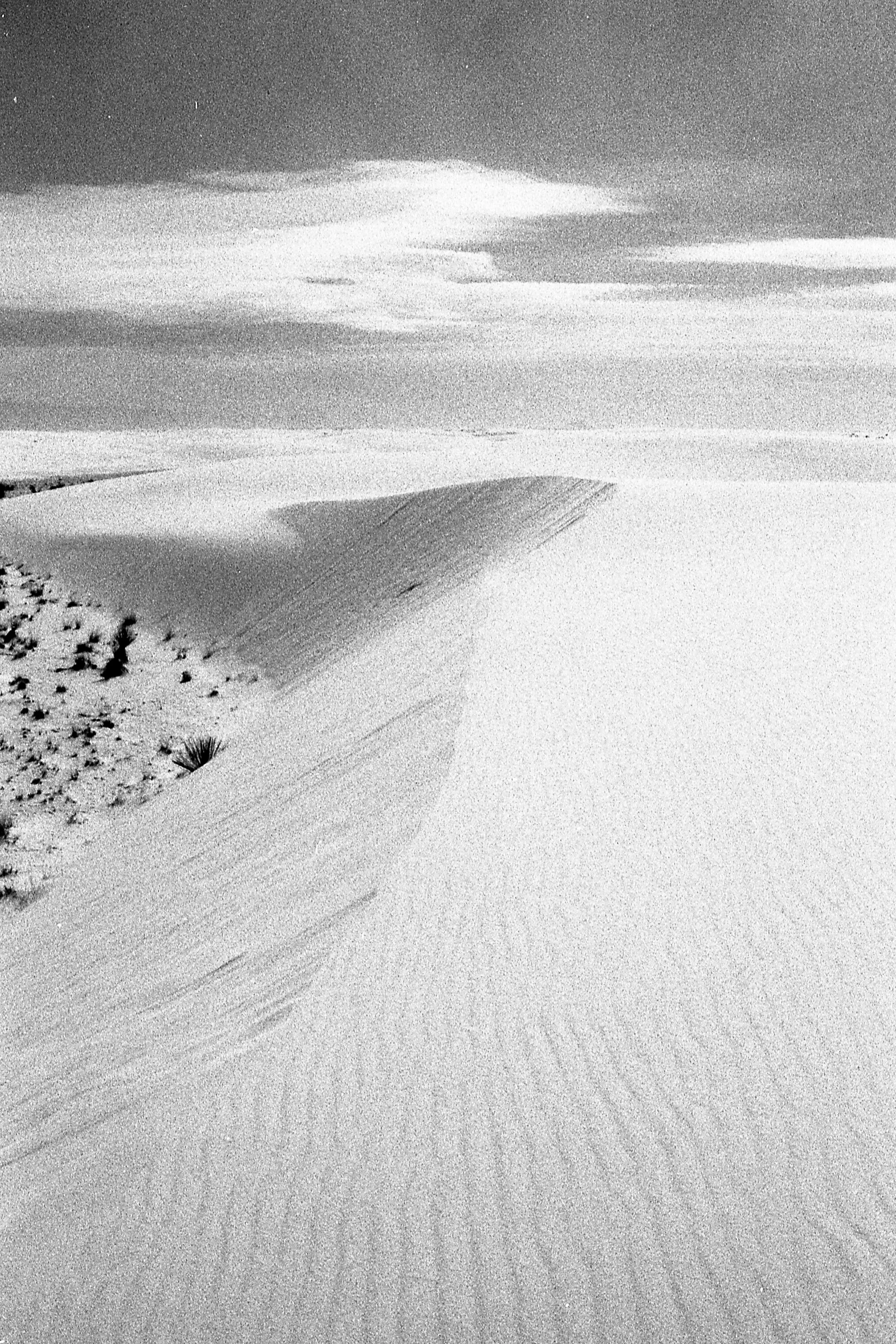 R00098-35-34-1 copy.jpg