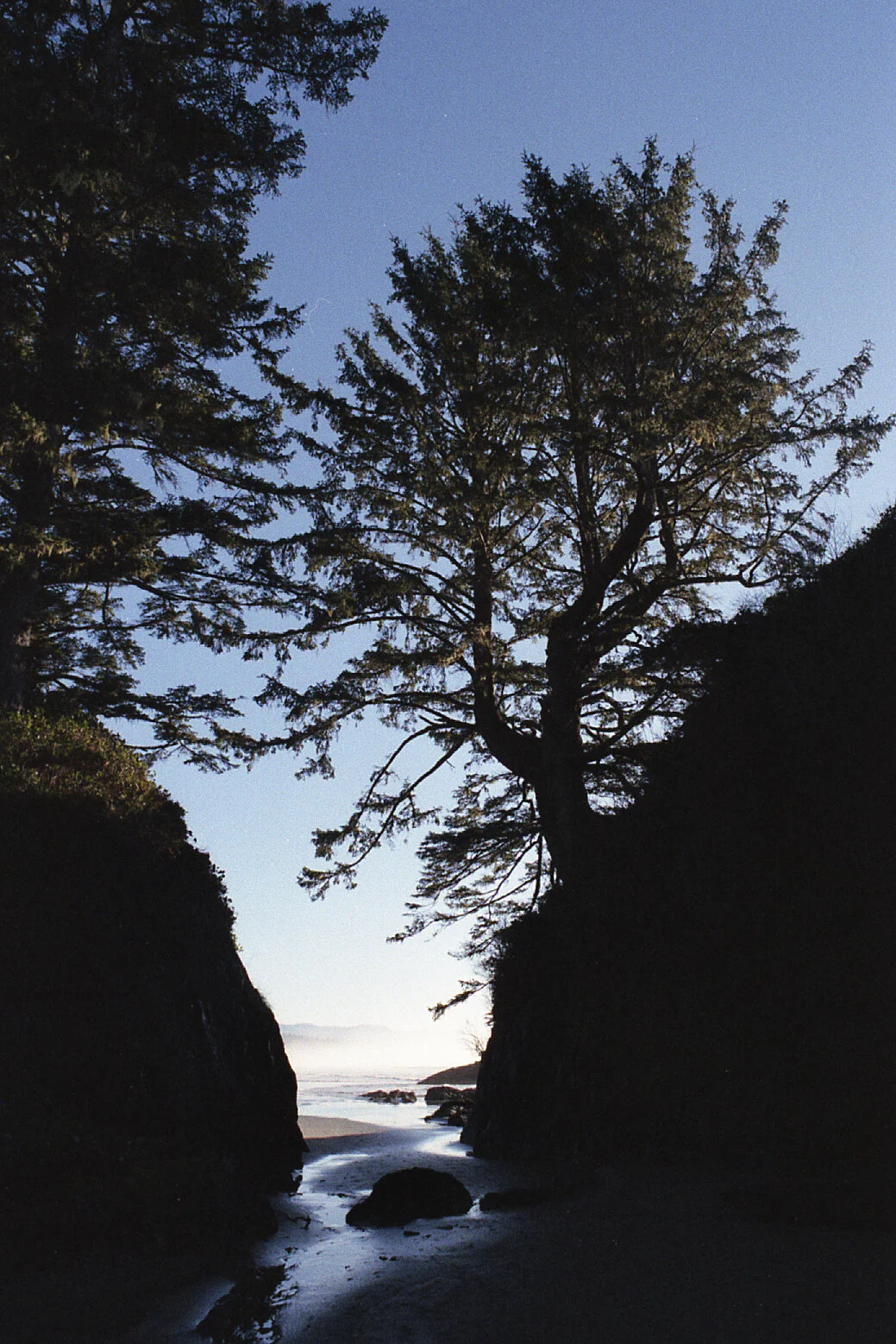 R00155-35-29-1 copy.jpg