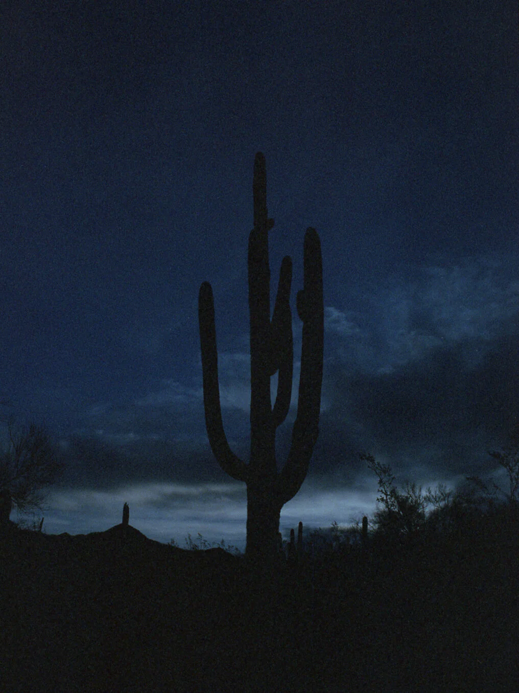 R00173-35-22-1 copy.jpg