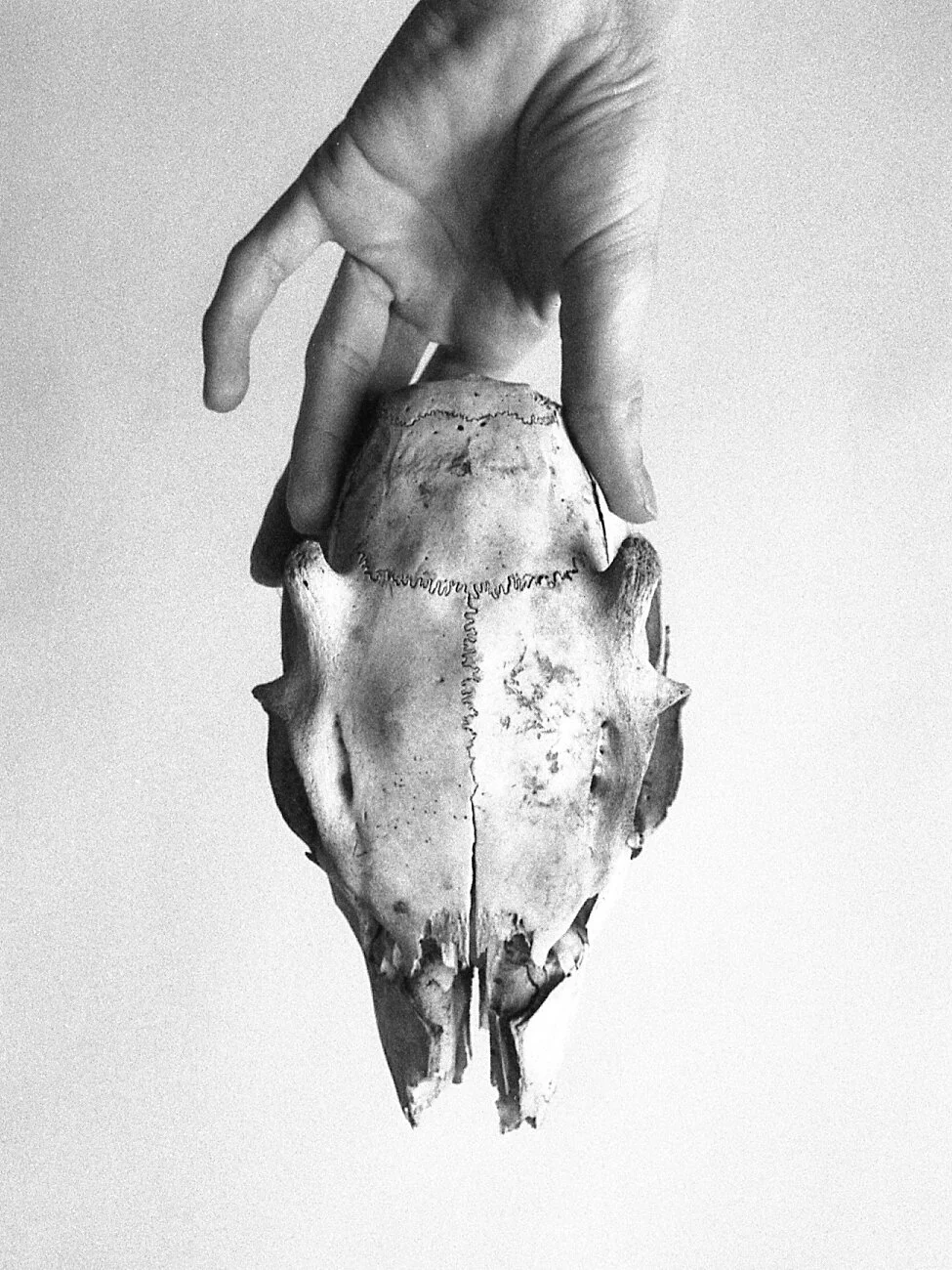 R00116-35-35-1-2 copy.jpg