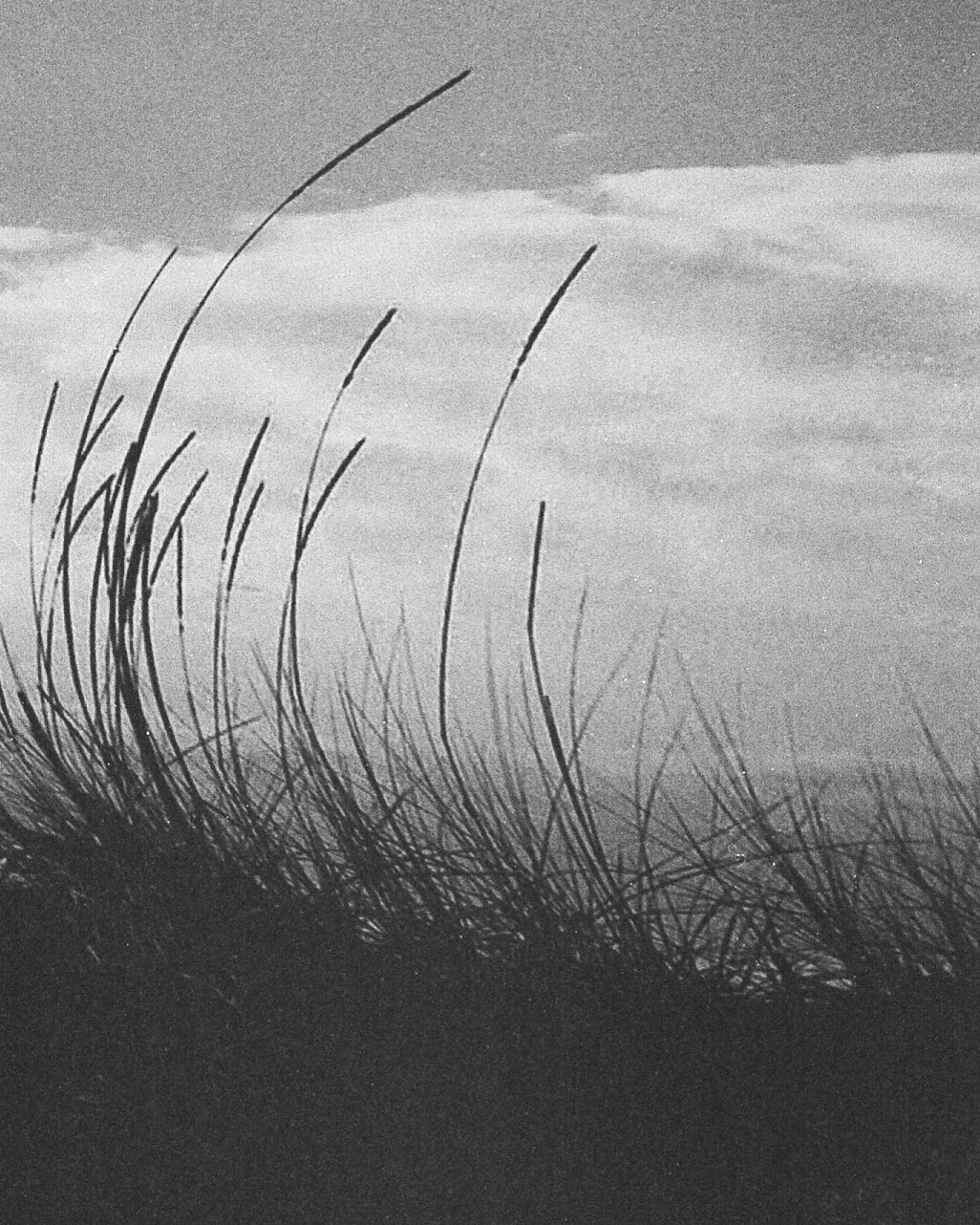 R00157-35-08_1-1-2 copy.jpg