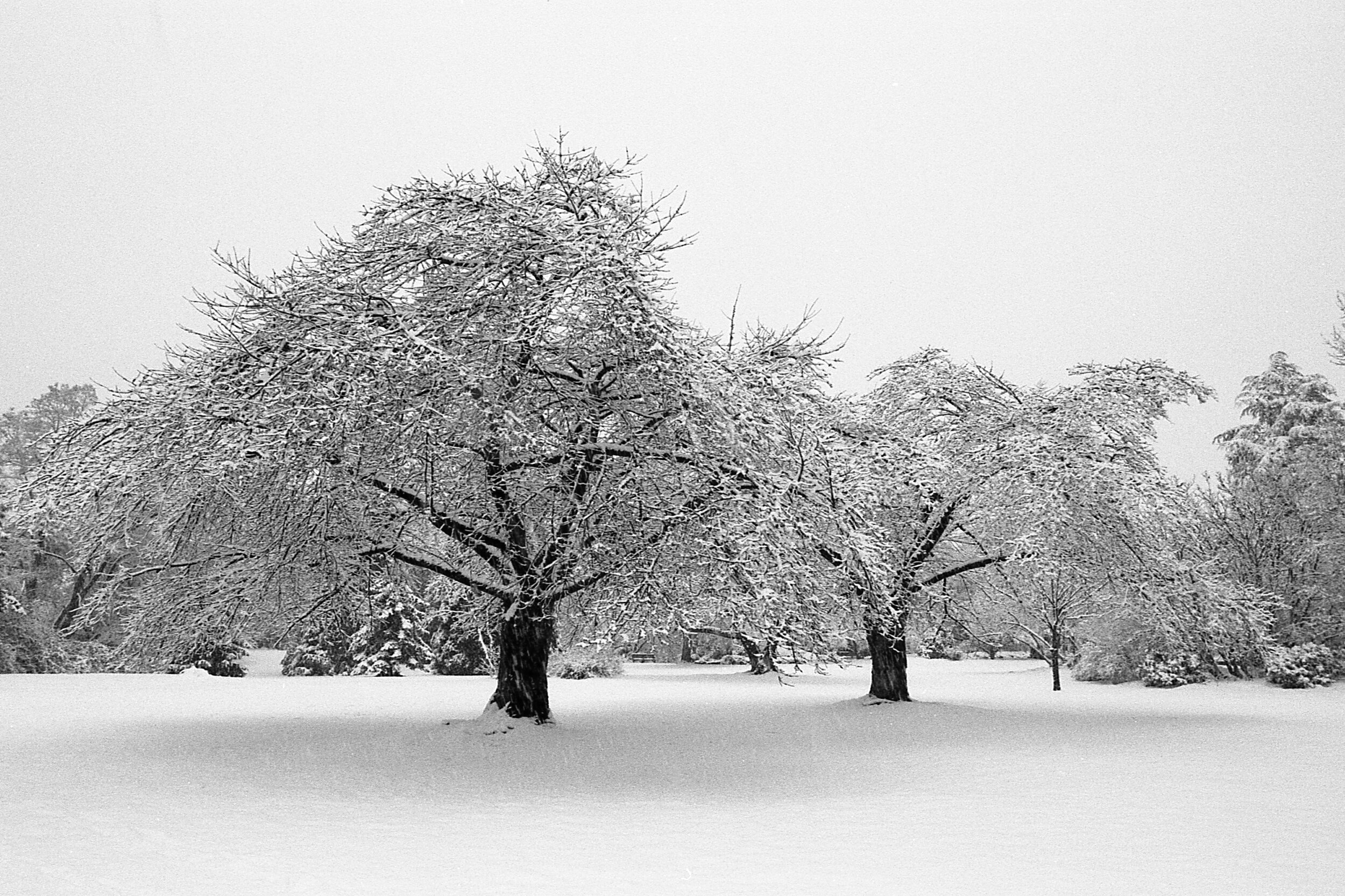 R00147-35-35-1 copy.jpg