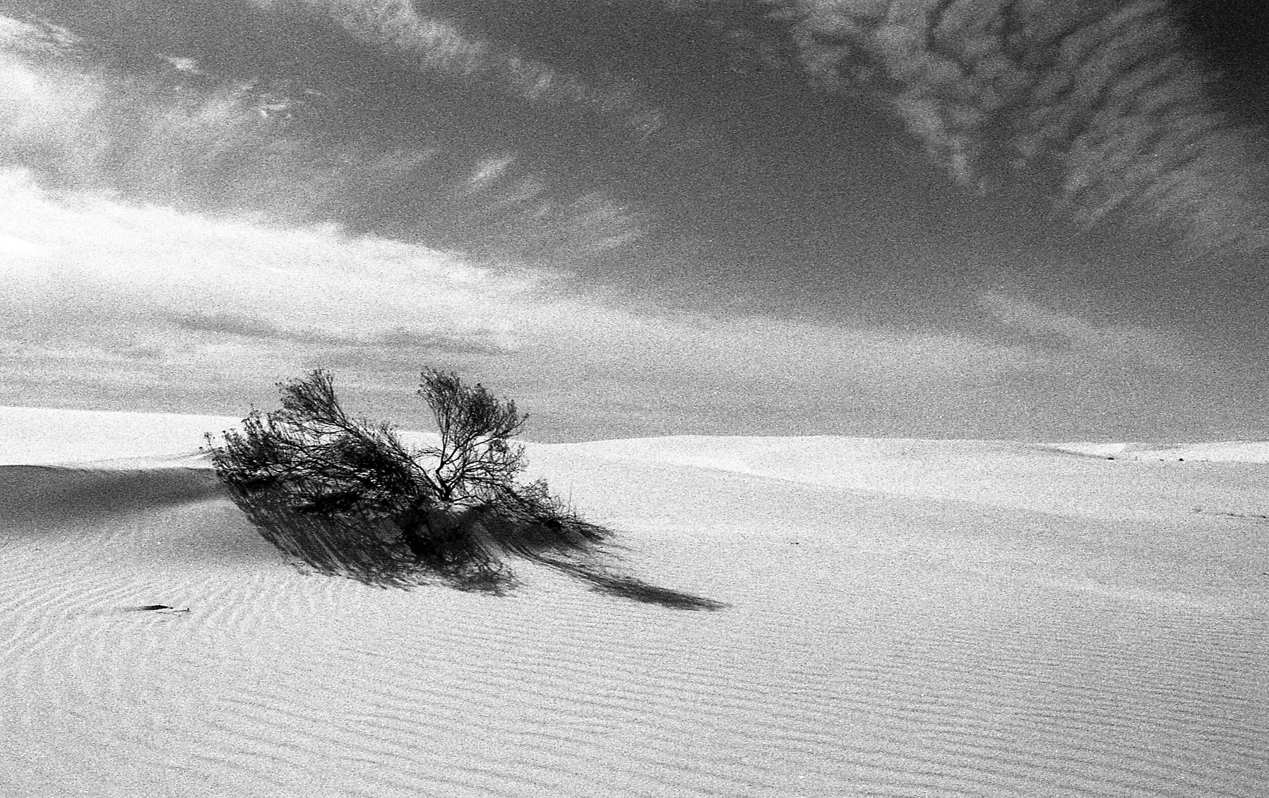 R00098-35-31-1-2 copy.jpg