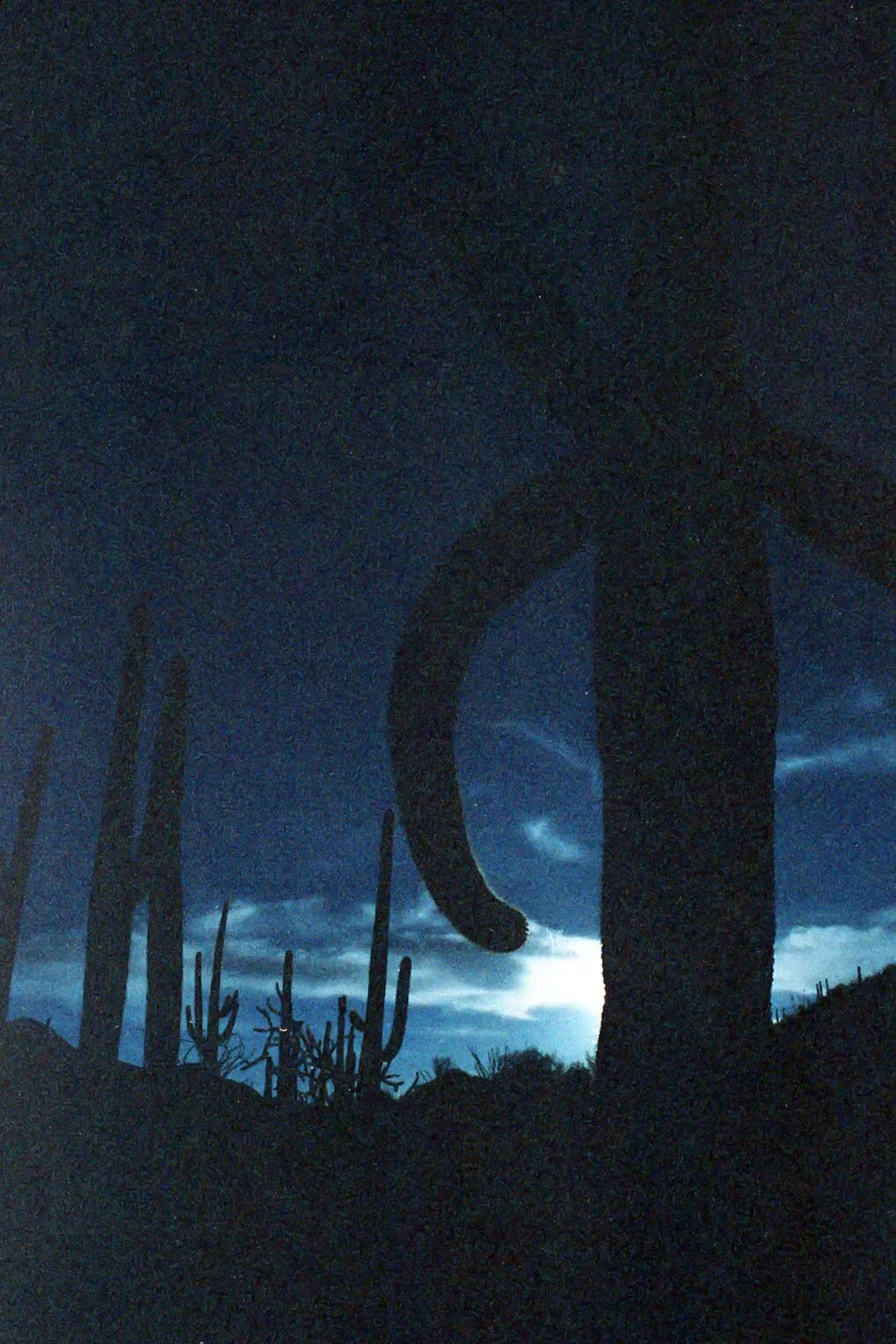 R00173-35-36-1-2 copy.jpg