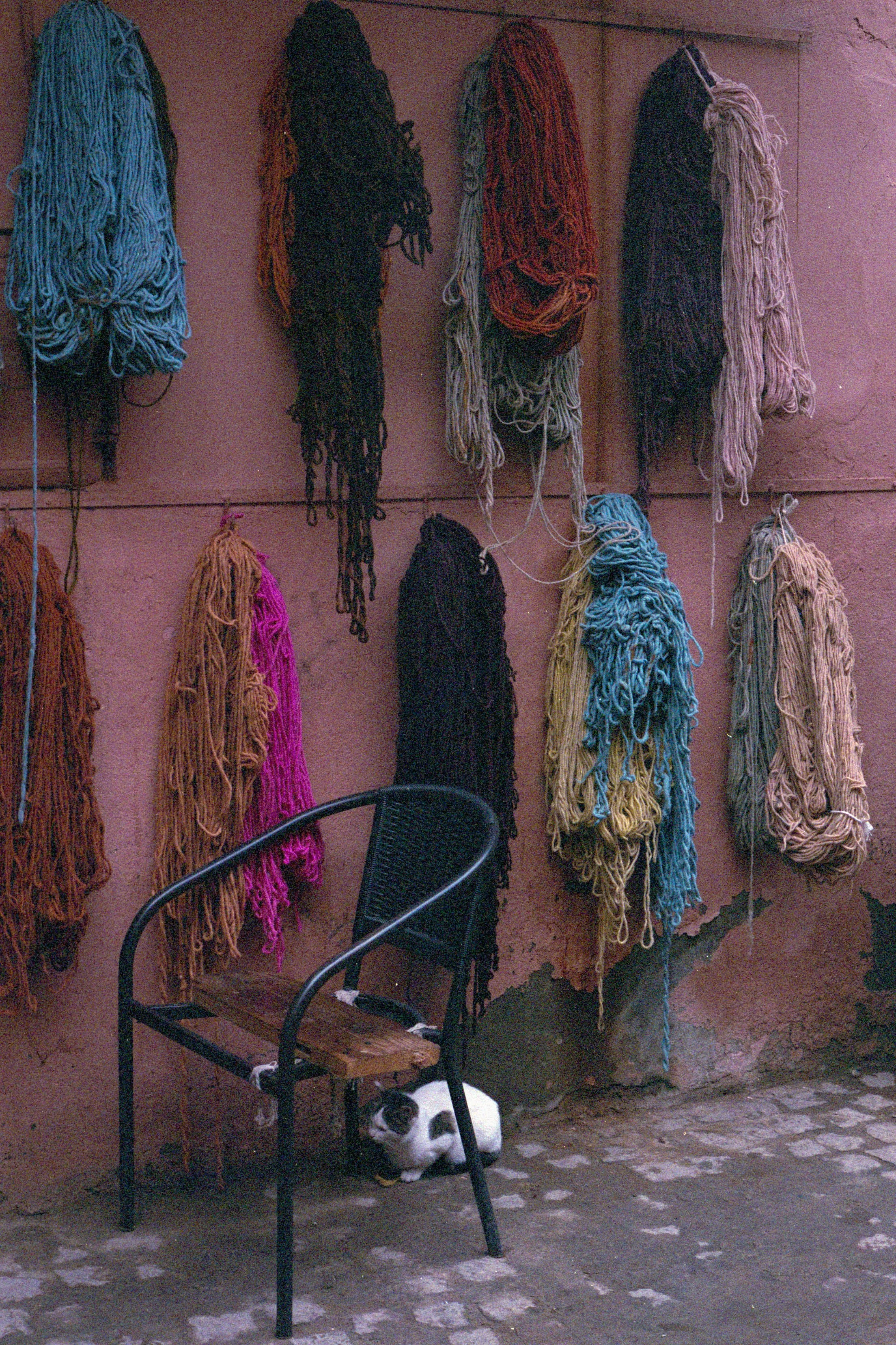 untitled-1.jpg