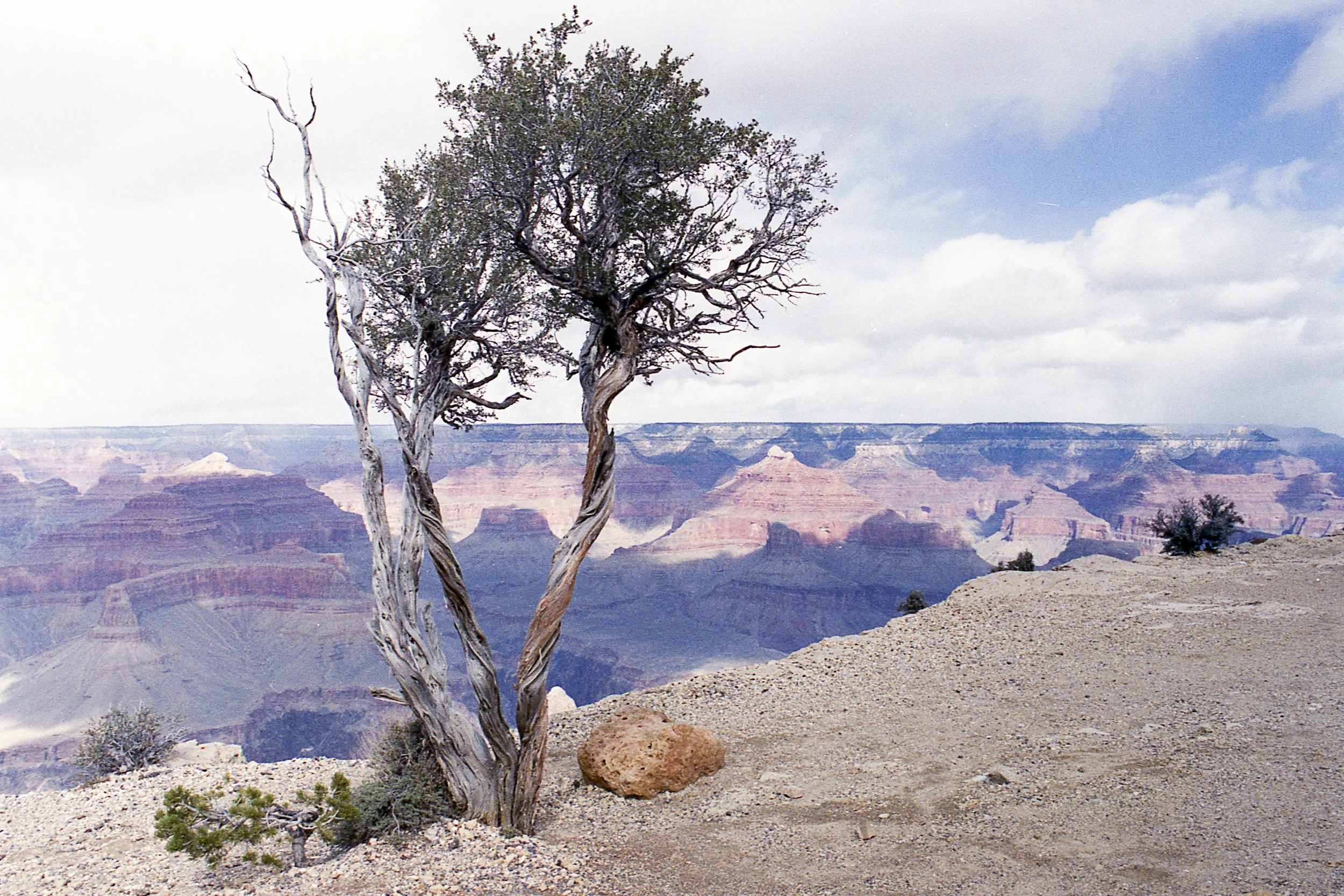 R00091-35-15-1 copy.jpg