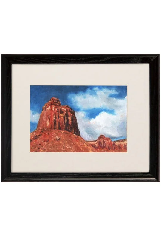 contrasting canyonlands framed.jpg