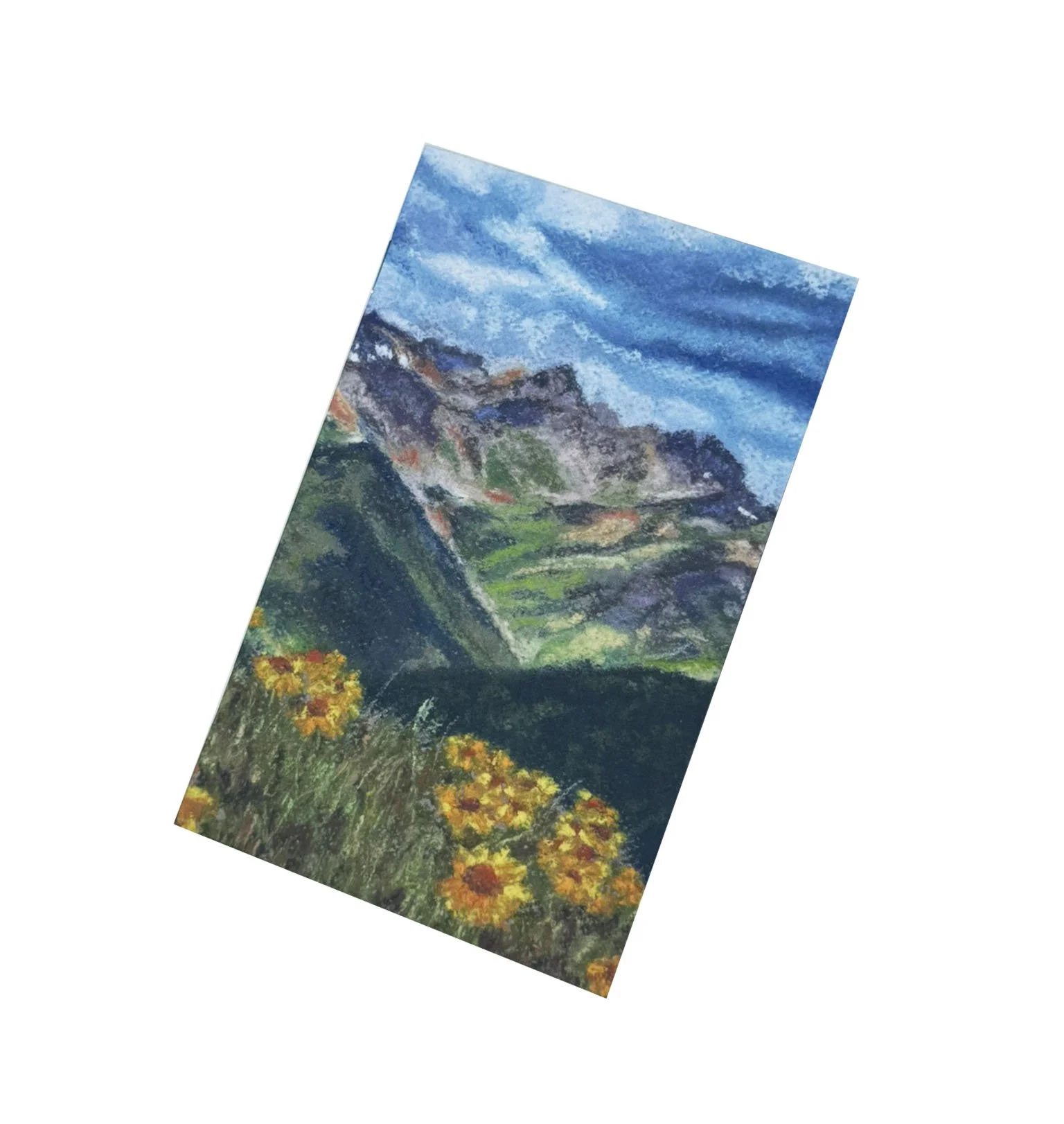 Colorado Sunflowers Wildflowers Adventure Journal