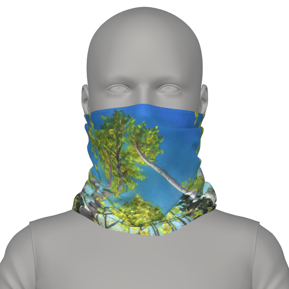 aspen in spring overhead.png