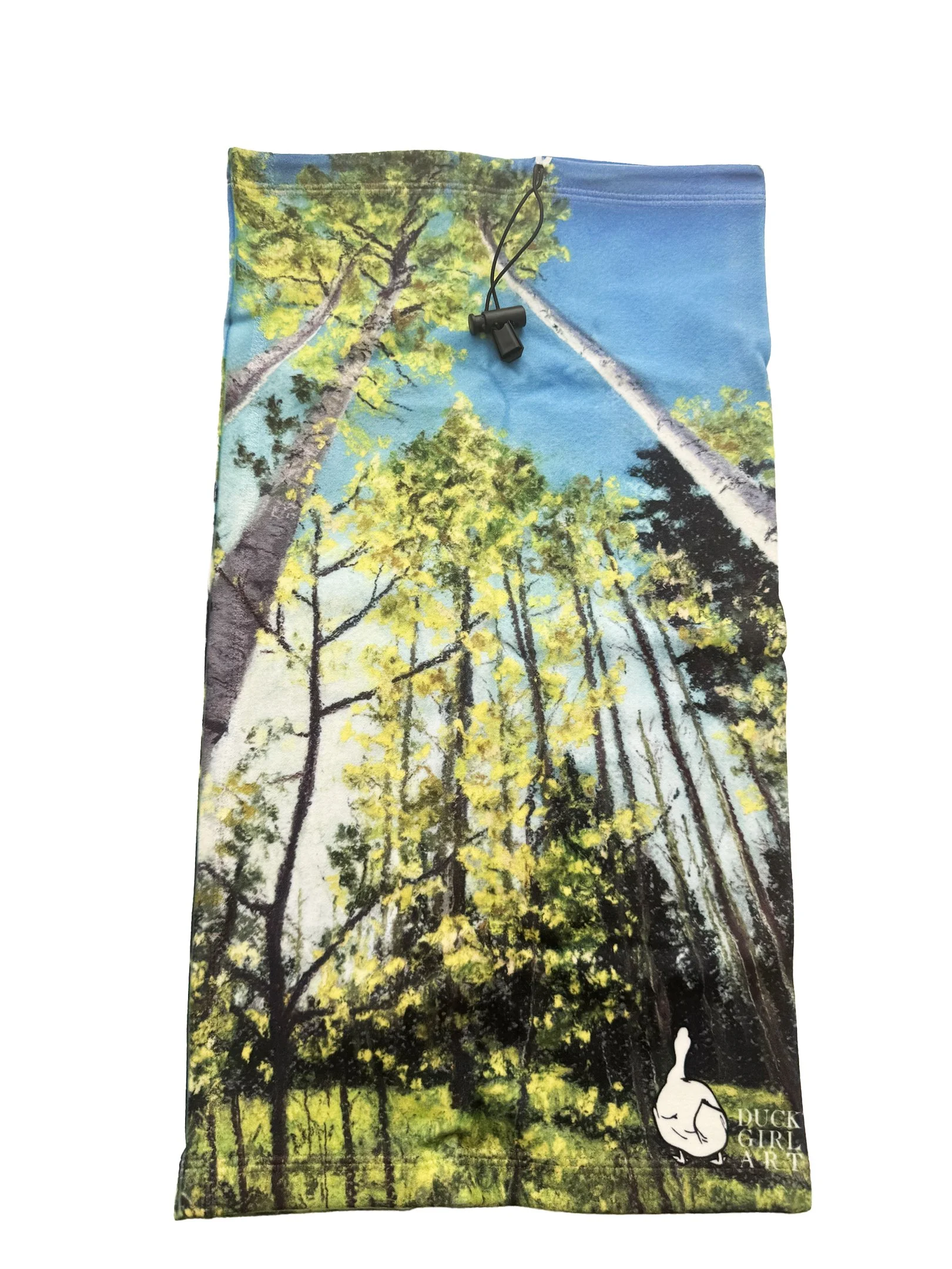 aspen in spring.jpg