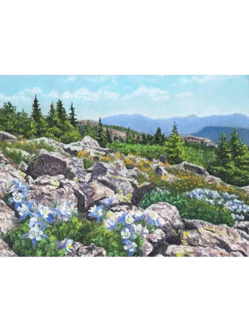 Rocky Field of Columbine copy.jpg