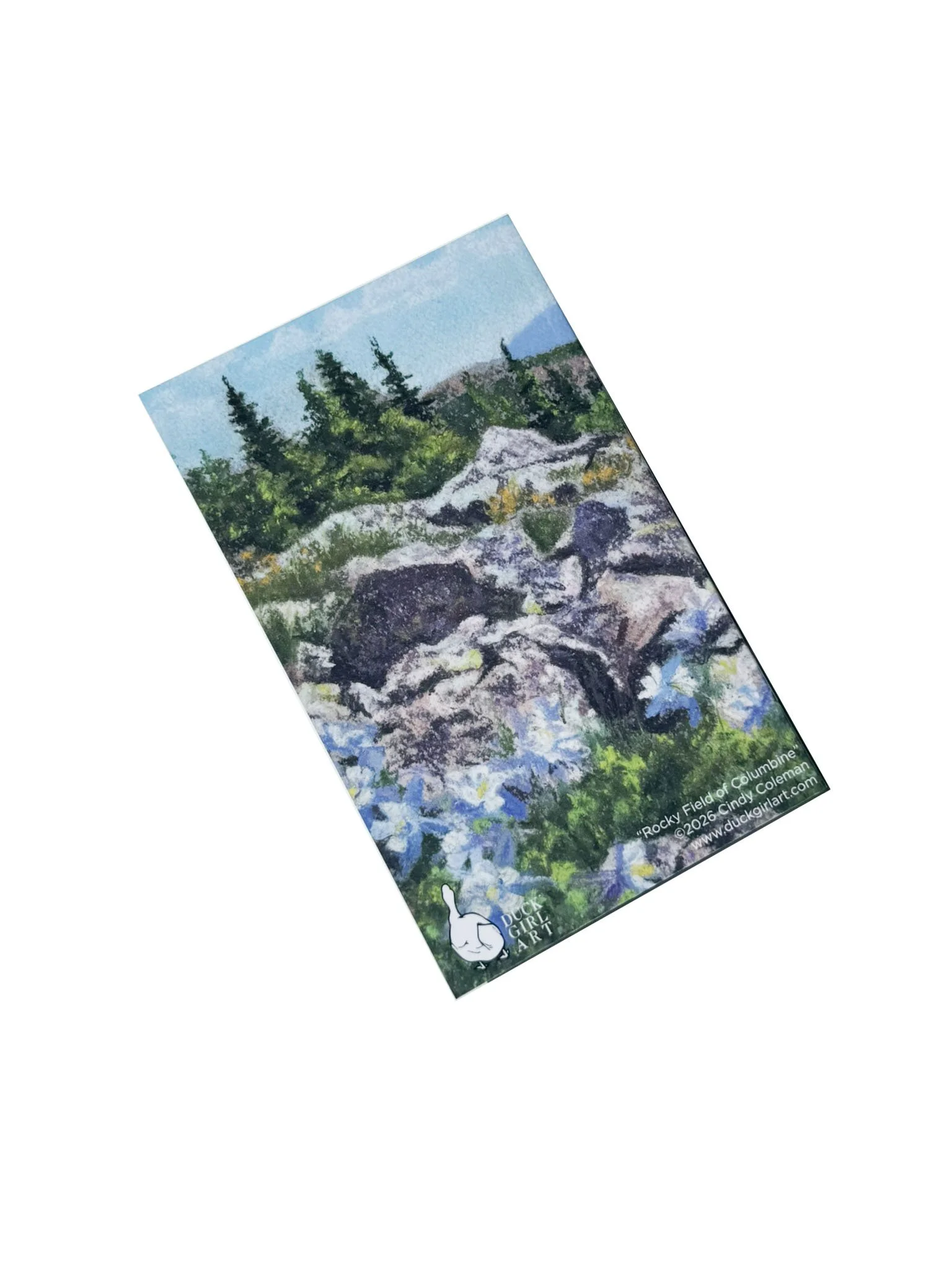 rocky field of columbine back.jpg