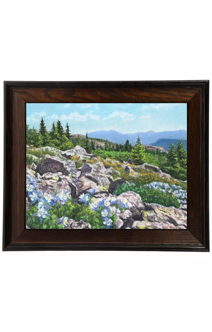 Rocky Field of Columbine framed.jpg