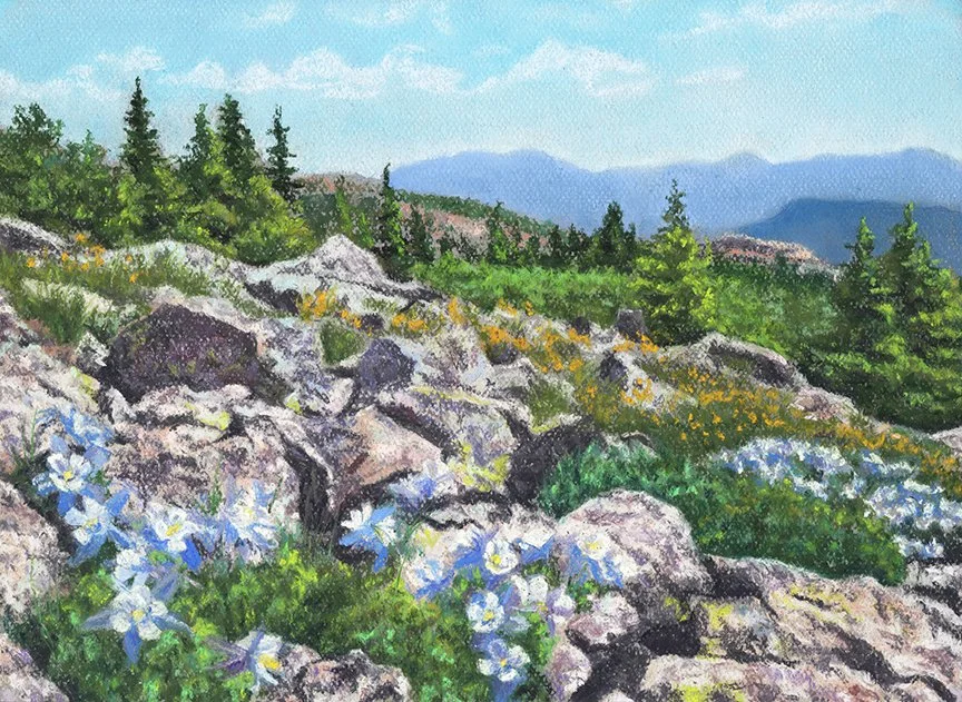 Rocky Field of Columbine.jpg