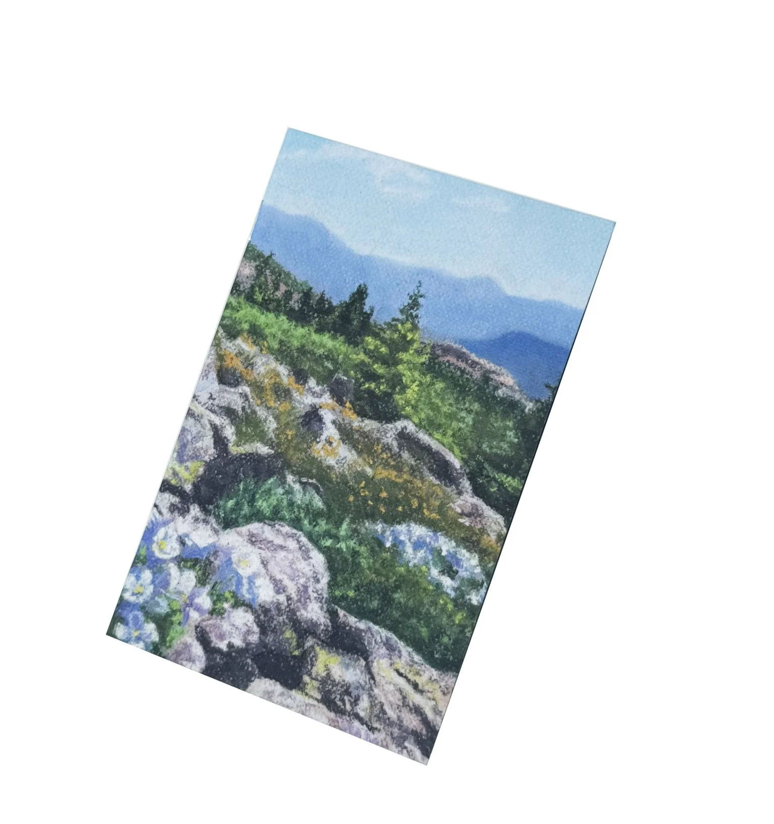 Colorado Columbine Adventure Journal