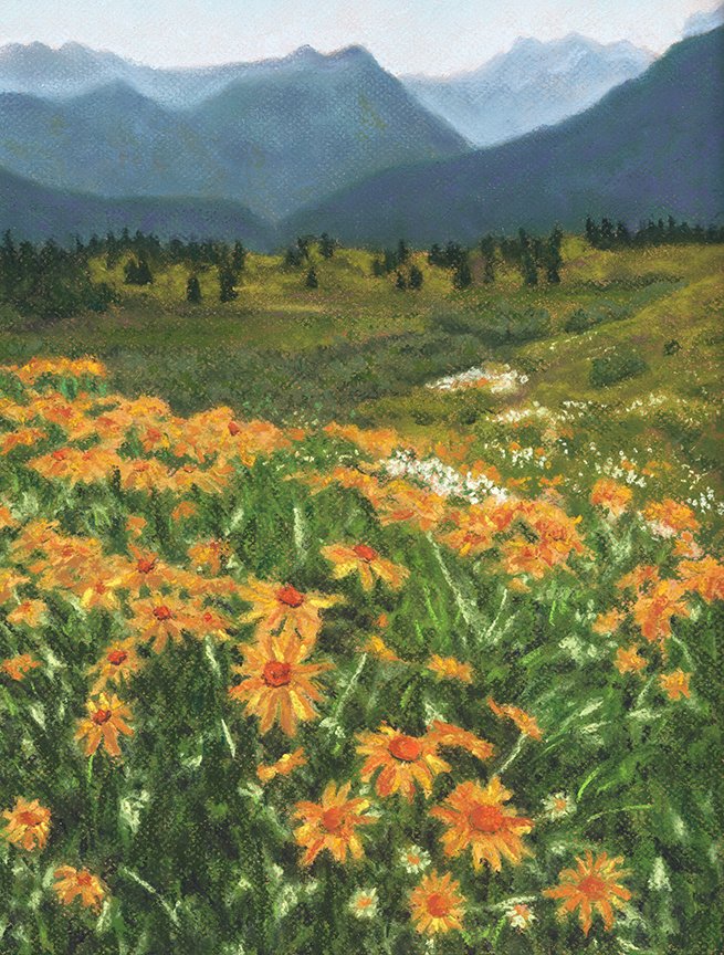 Sunflower Extravaganza Print