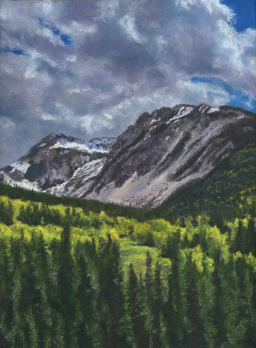 In the Limelight.jpg