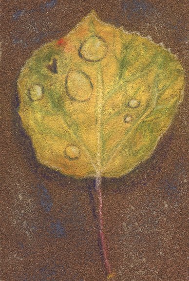 aspen 20.jpg