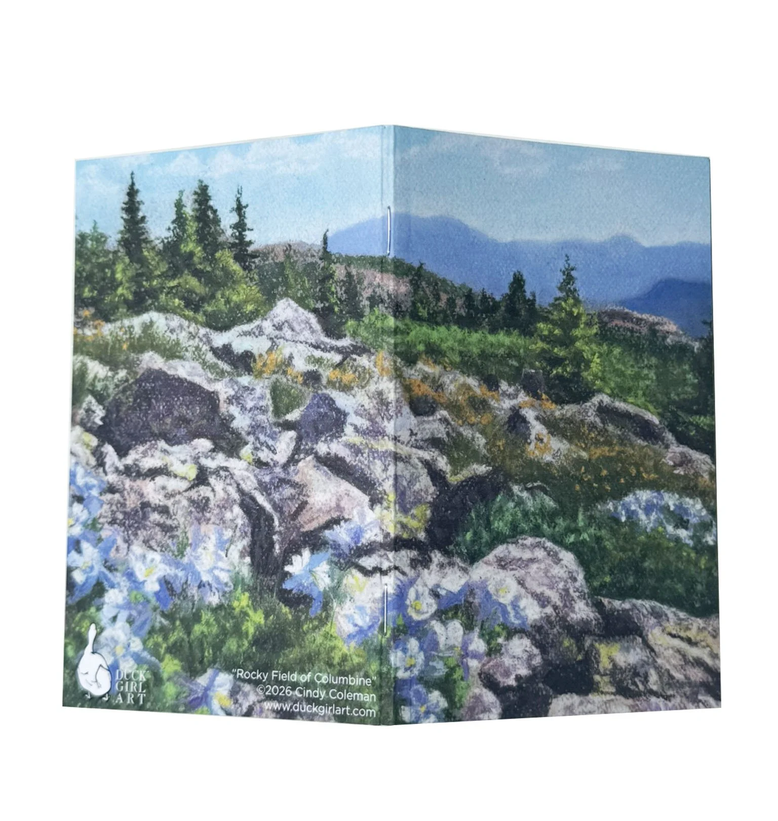 rocky field of columbine spread.jpg
