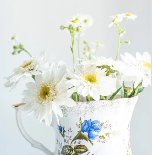 Photo by Larisa Birta on Unsplash