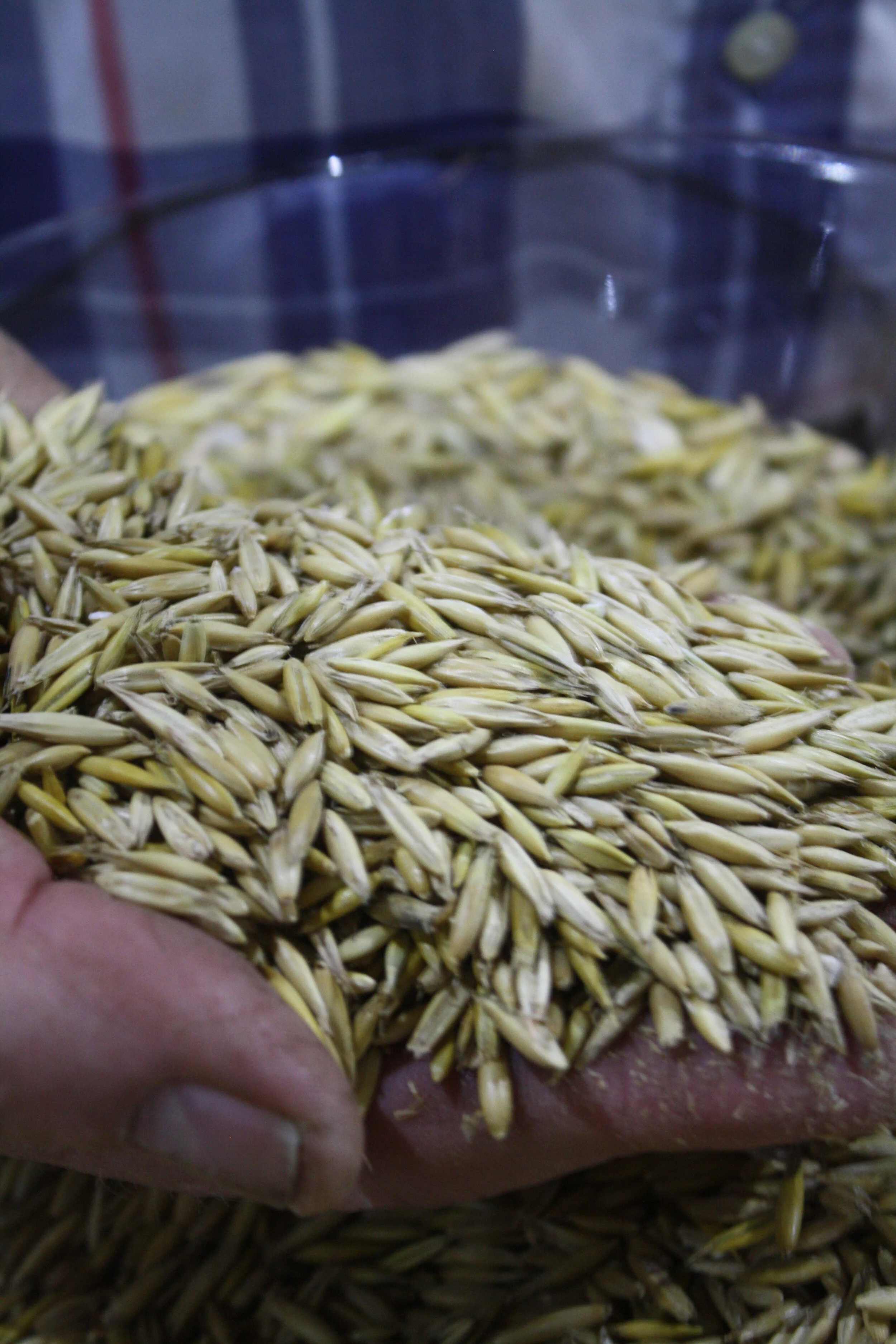 Heingegårdens Egna Produkter