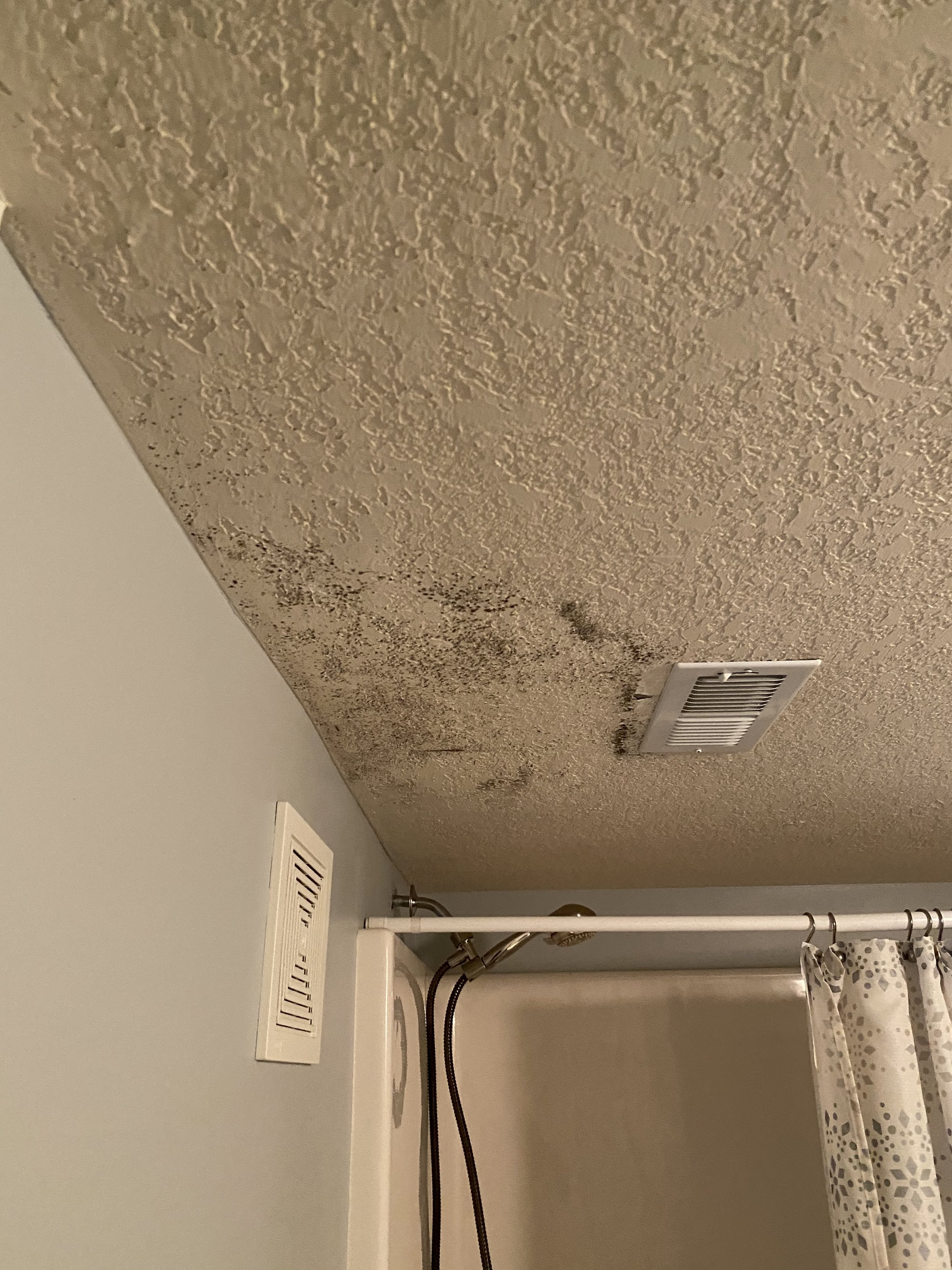 Mold photo on ceiling before - Ankeny house.jpg