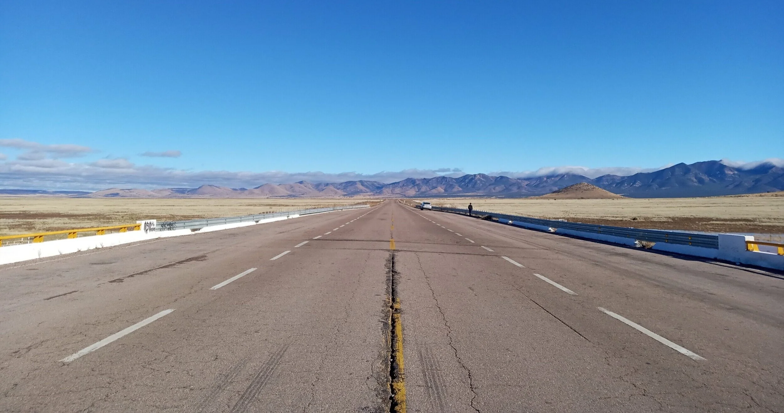 Ojitos de Zorrita Gris